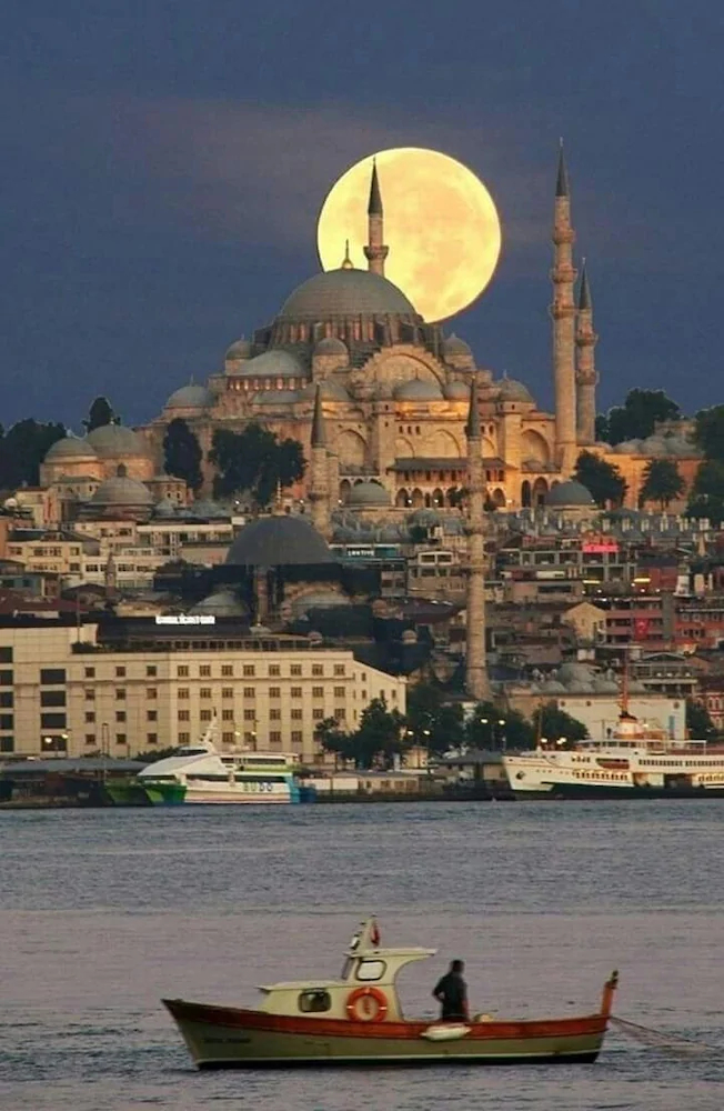 The Little Prince Hotel