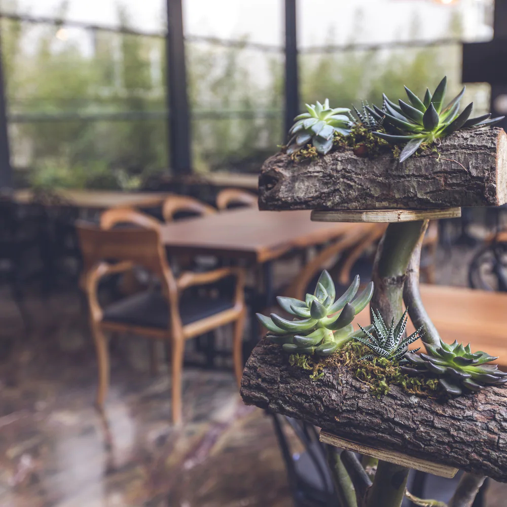 The Time Hotel Marina