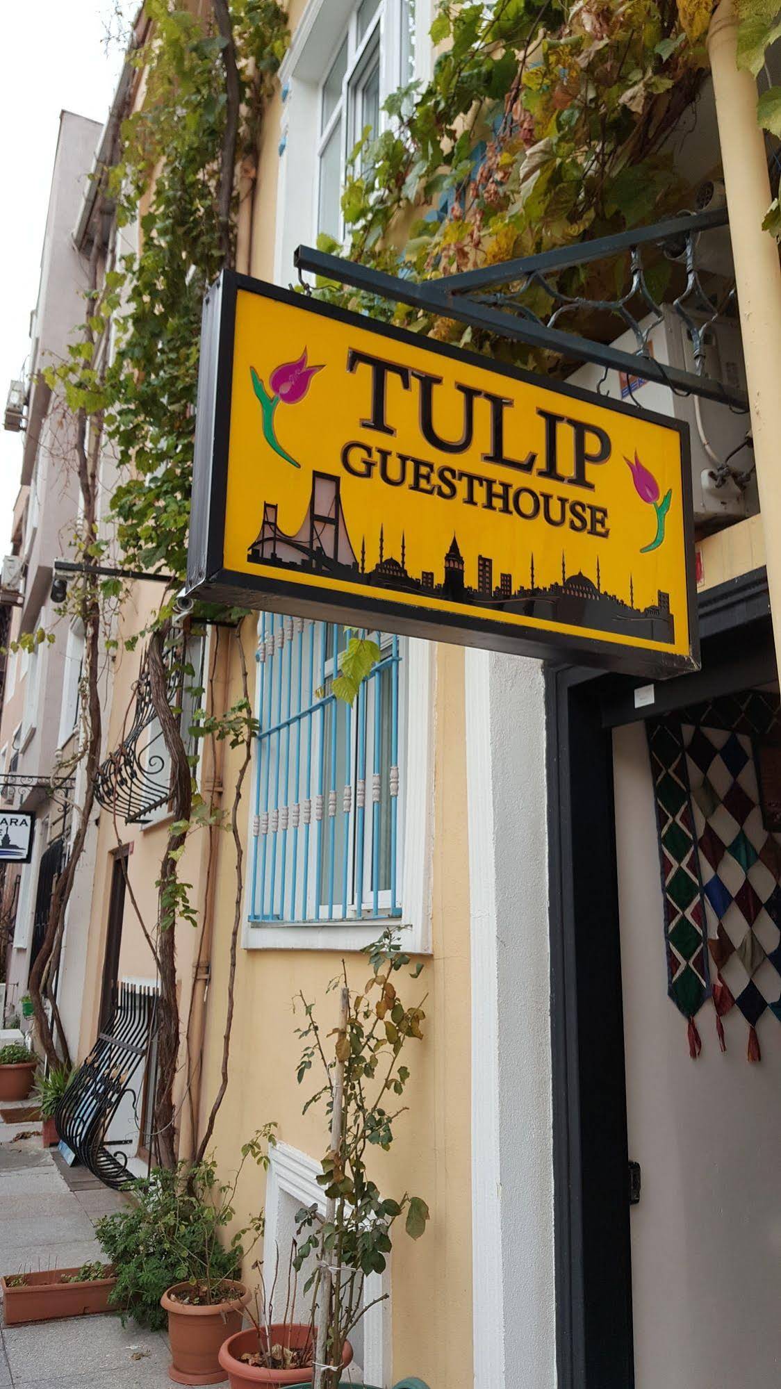 Tulip Guesthouse