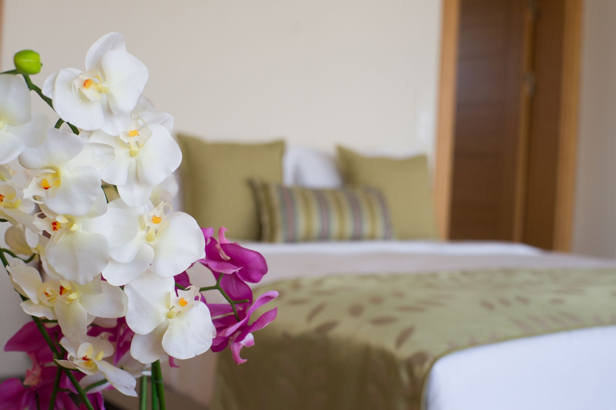 Wame Suite Hotel