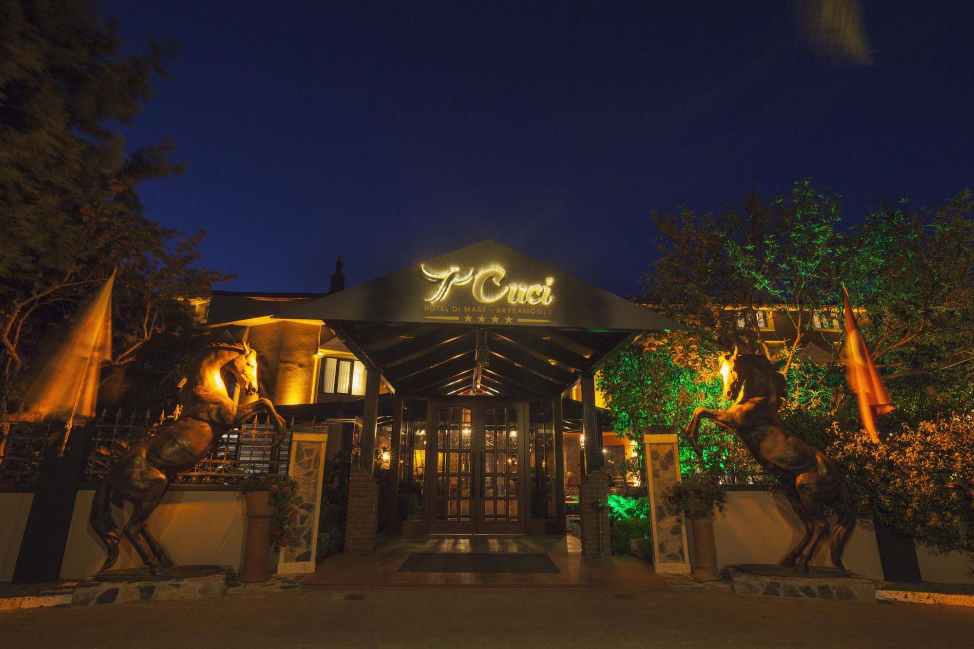 Cuci Hotel Di Mare - Bayramoglu