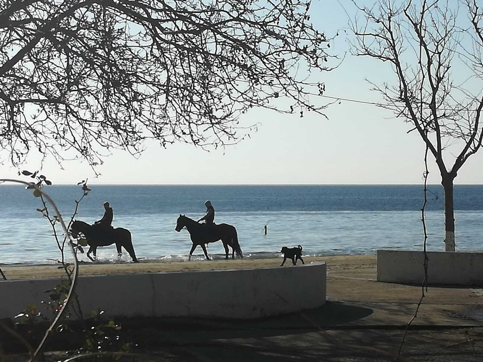 Otel Villa Fuat