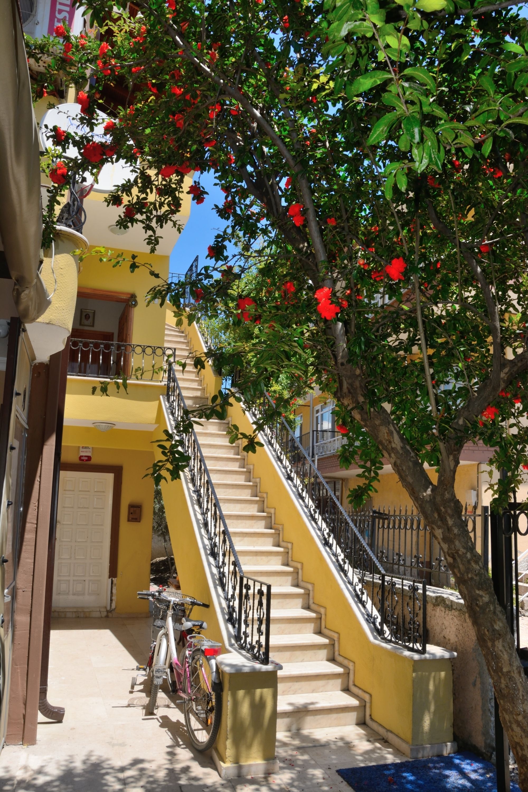 Seyir Butik