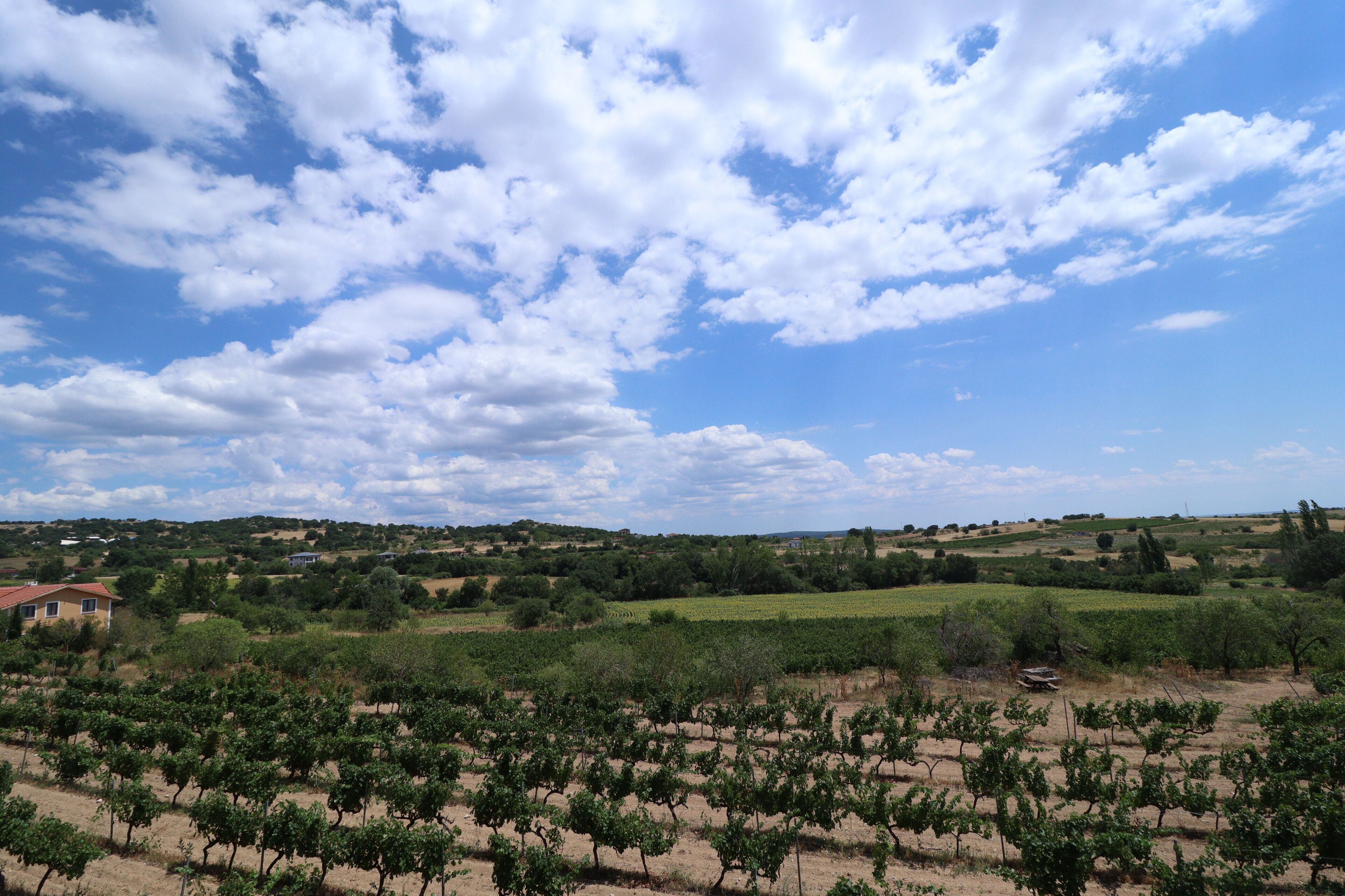 Dessera Vineyards Hotel