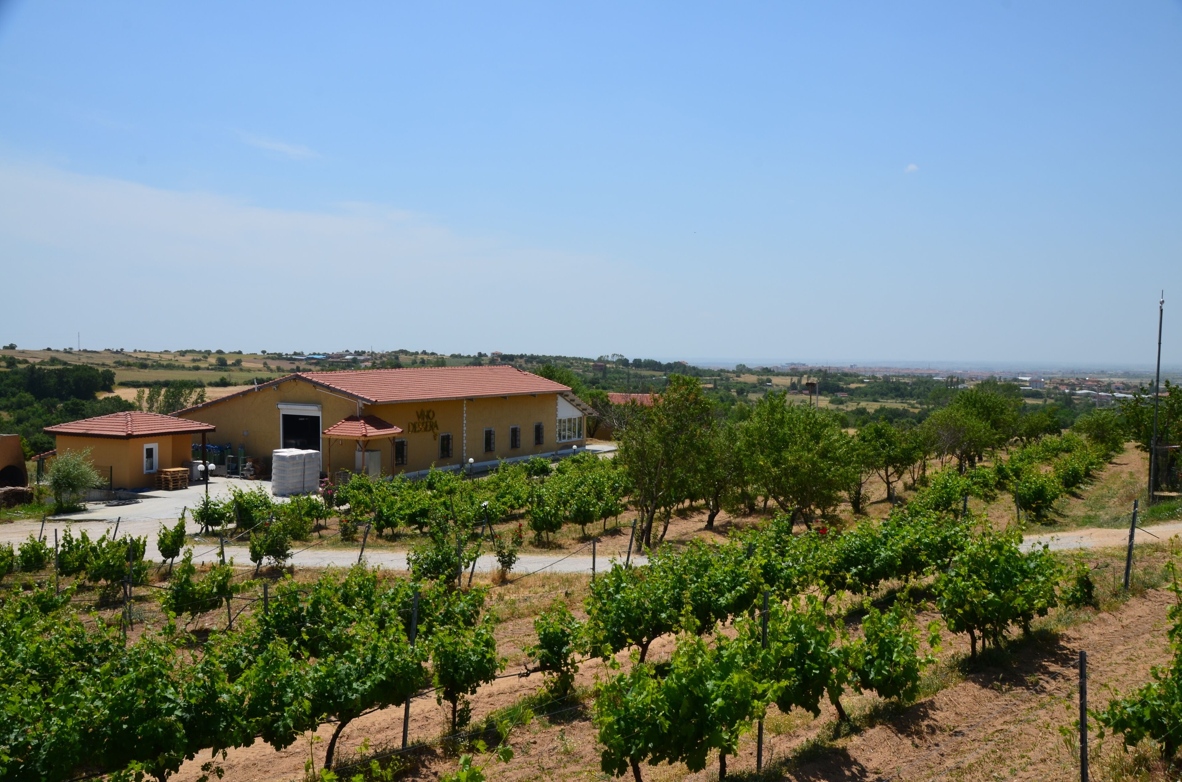 Dessera Vineyards Hotel