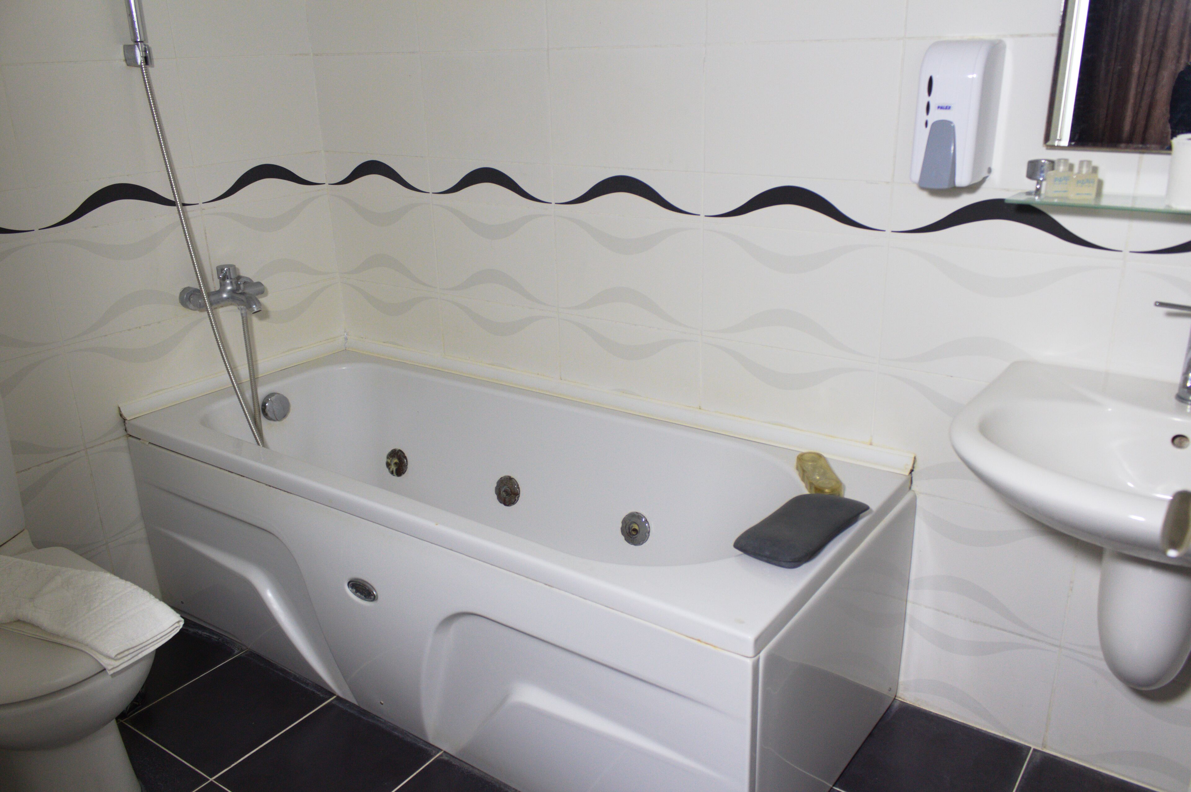 Green Moringa Termal Hotel