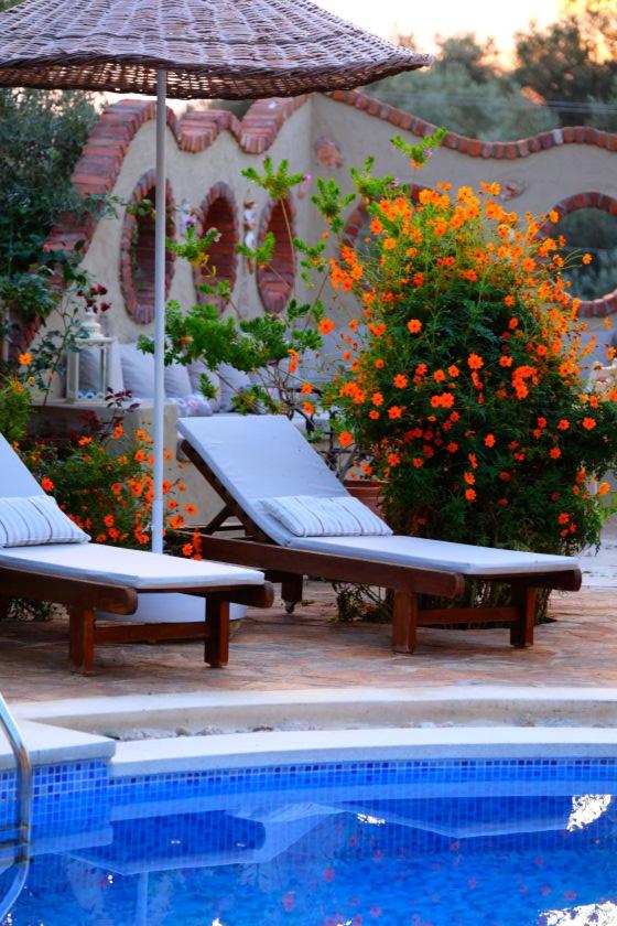 Mandarin & Mango Otel