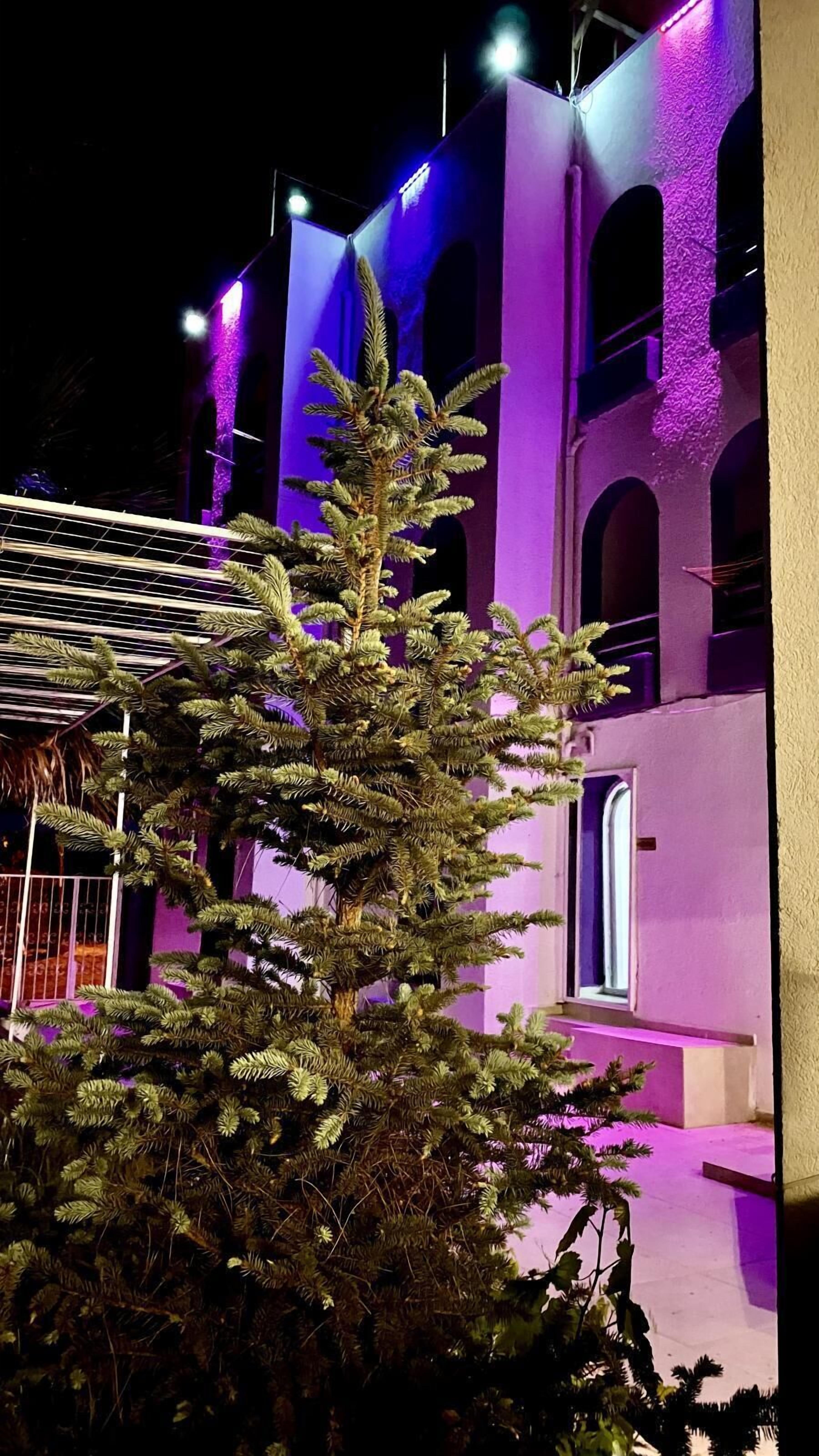 Nassos Butik Otel Ve Restaurant