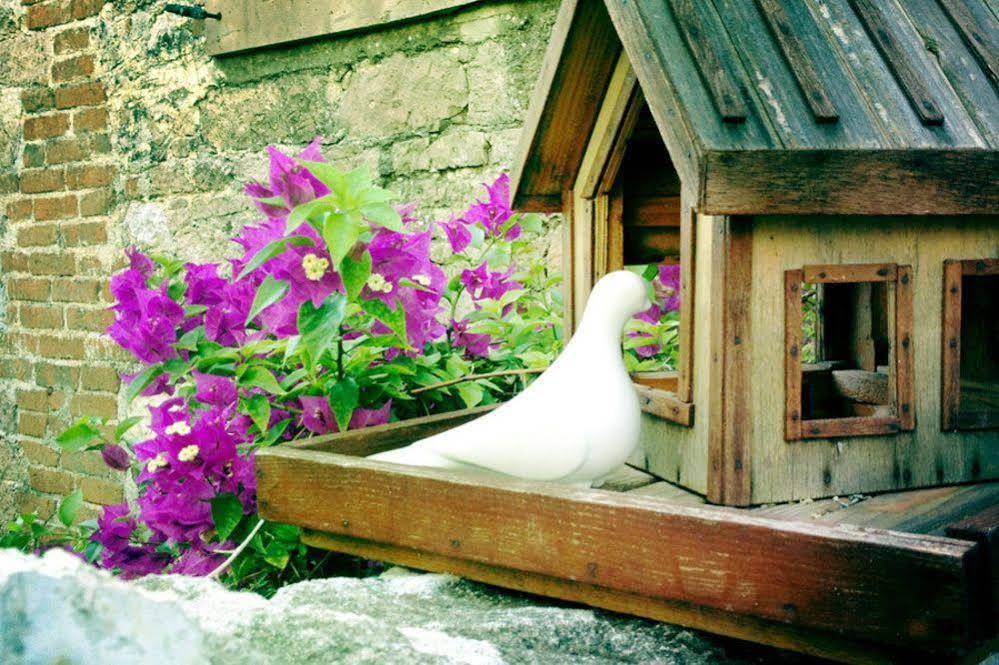 Florina House