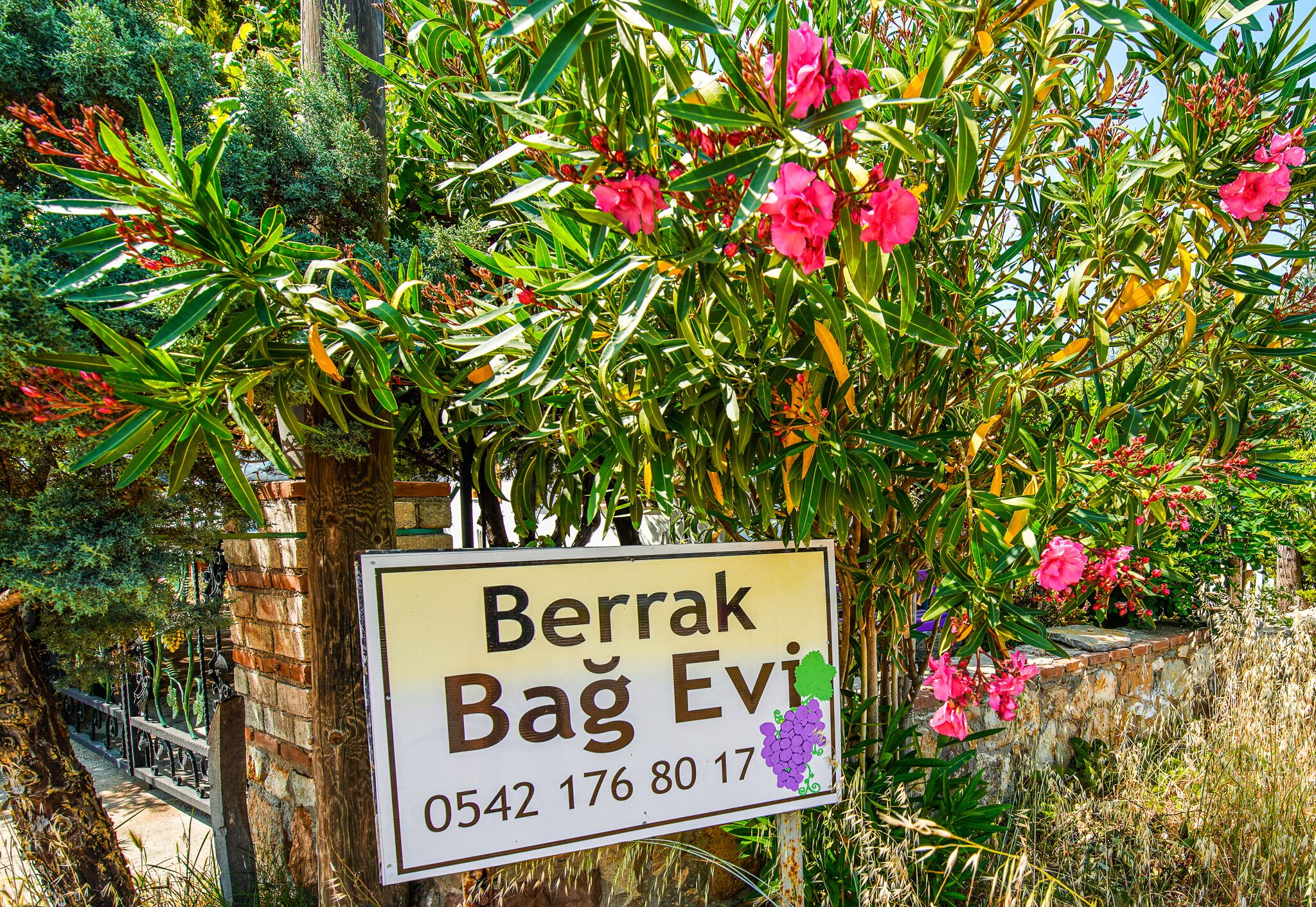 Berrak Bag Evi