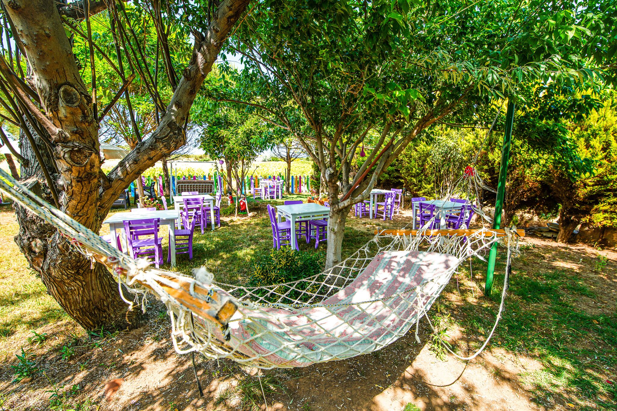 Berrak Bag Evi