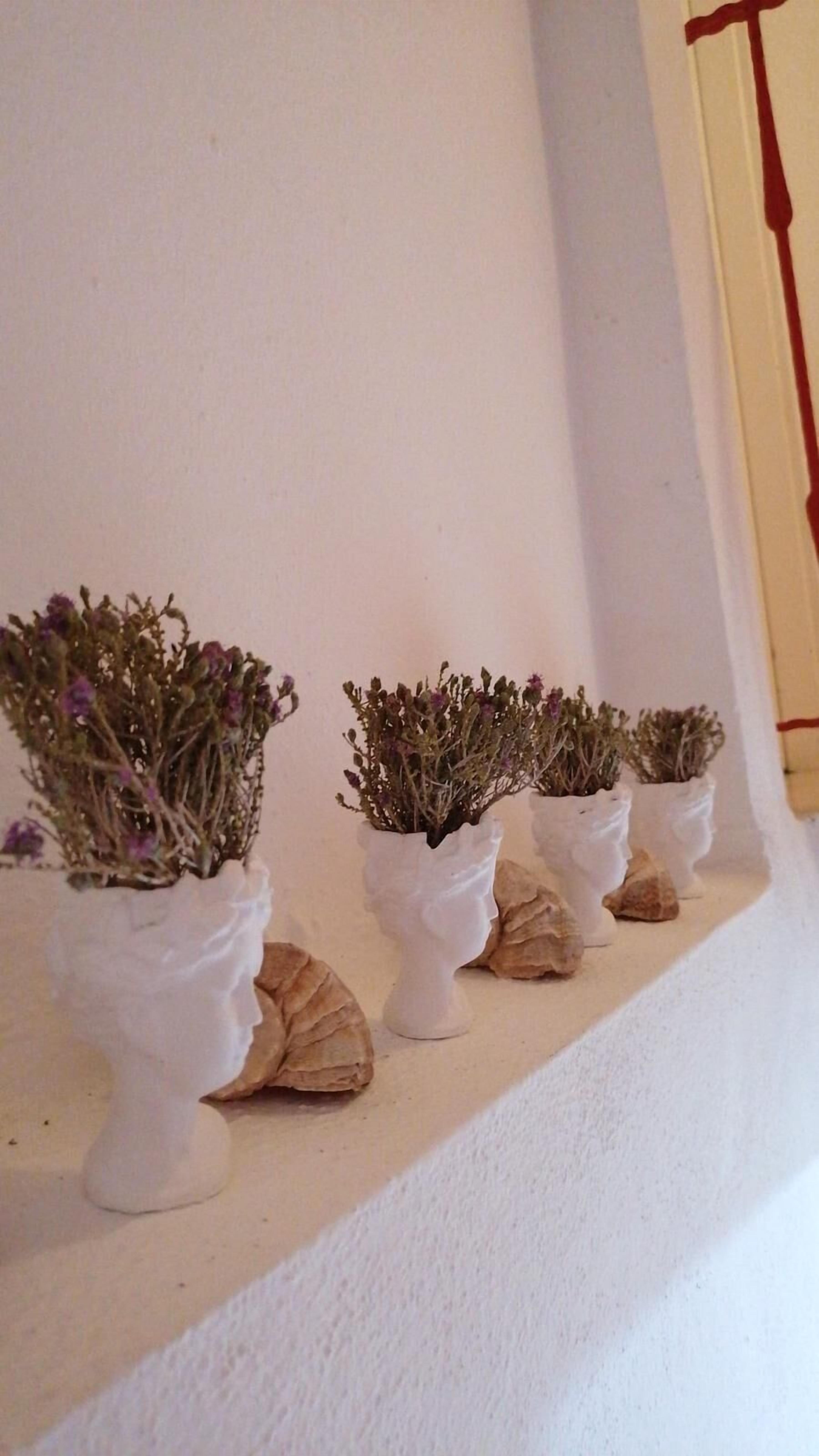 Merve Bag Evi Pansiyon