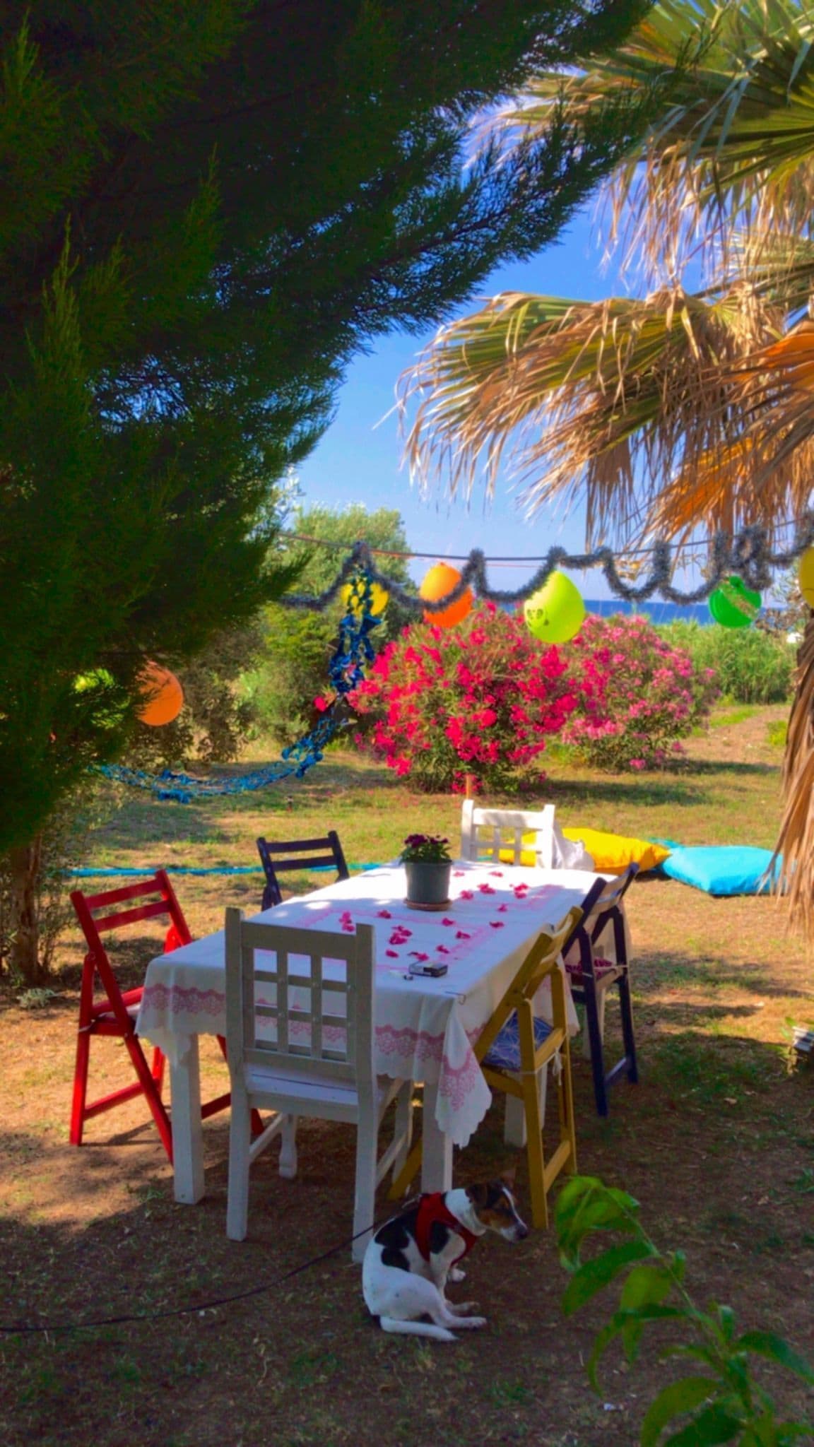 Merve Bag Evi Pansiyon