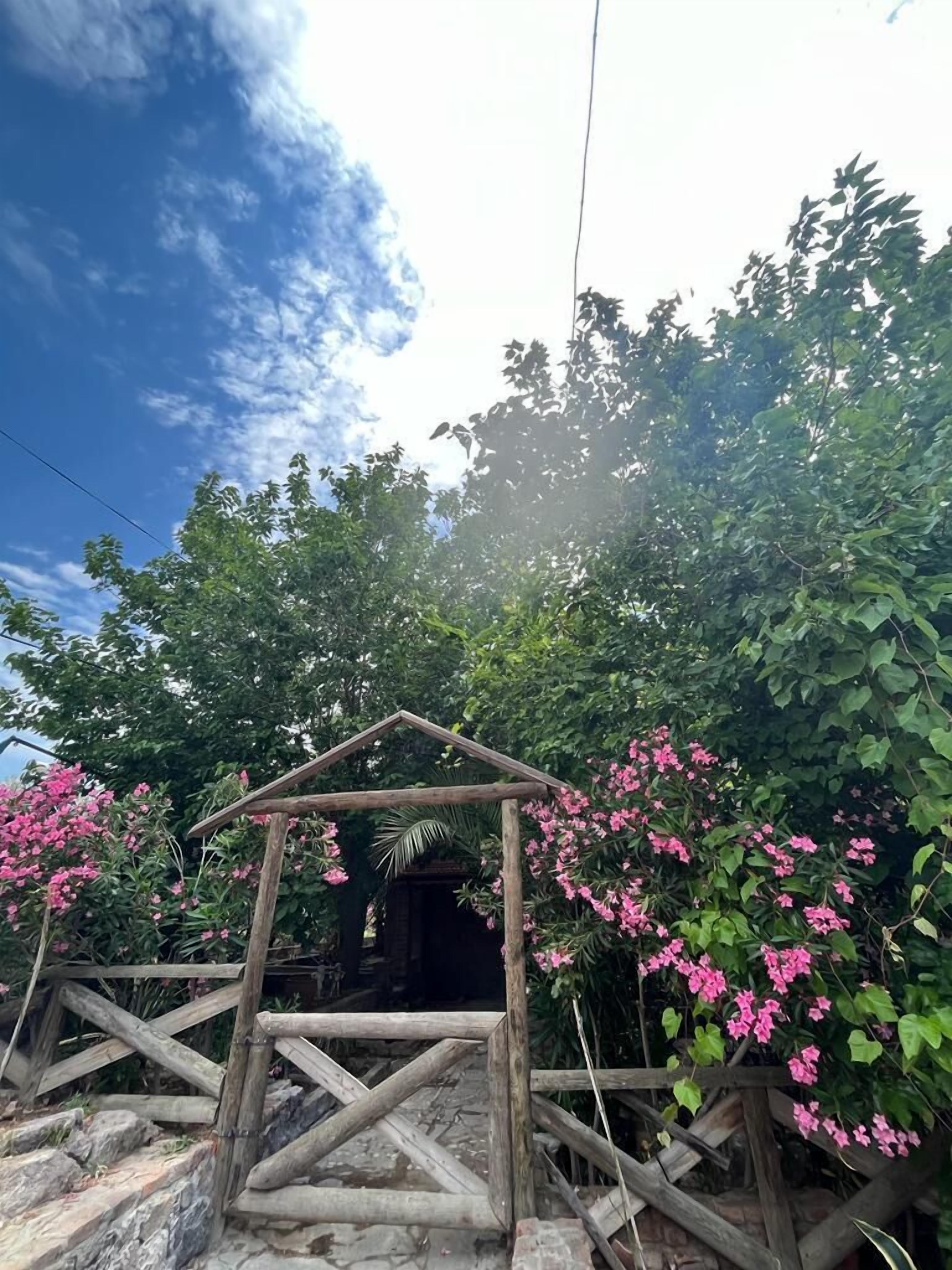 Assos Ada Otel