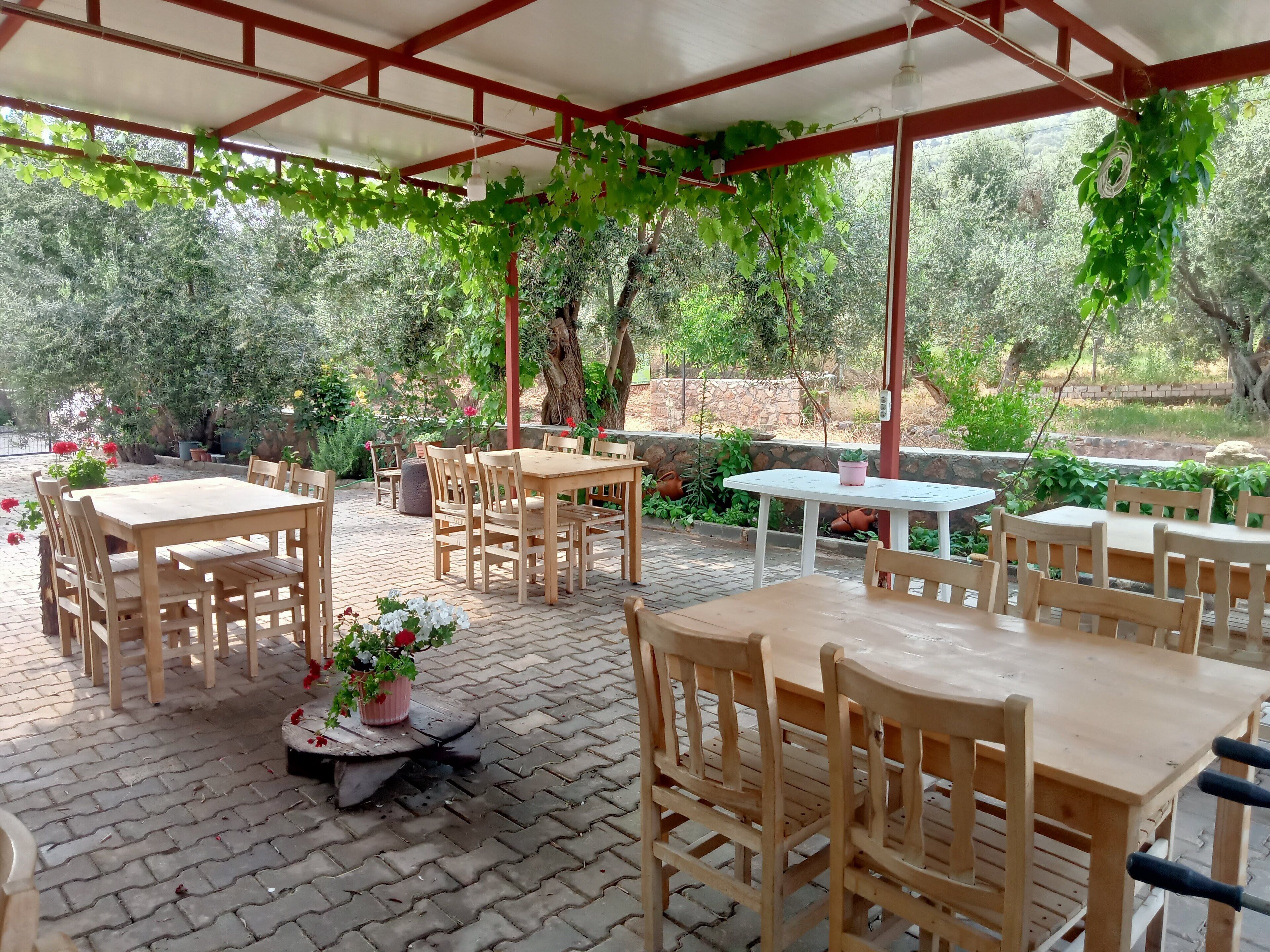 Assos Gunoven Butik Apart Otel
