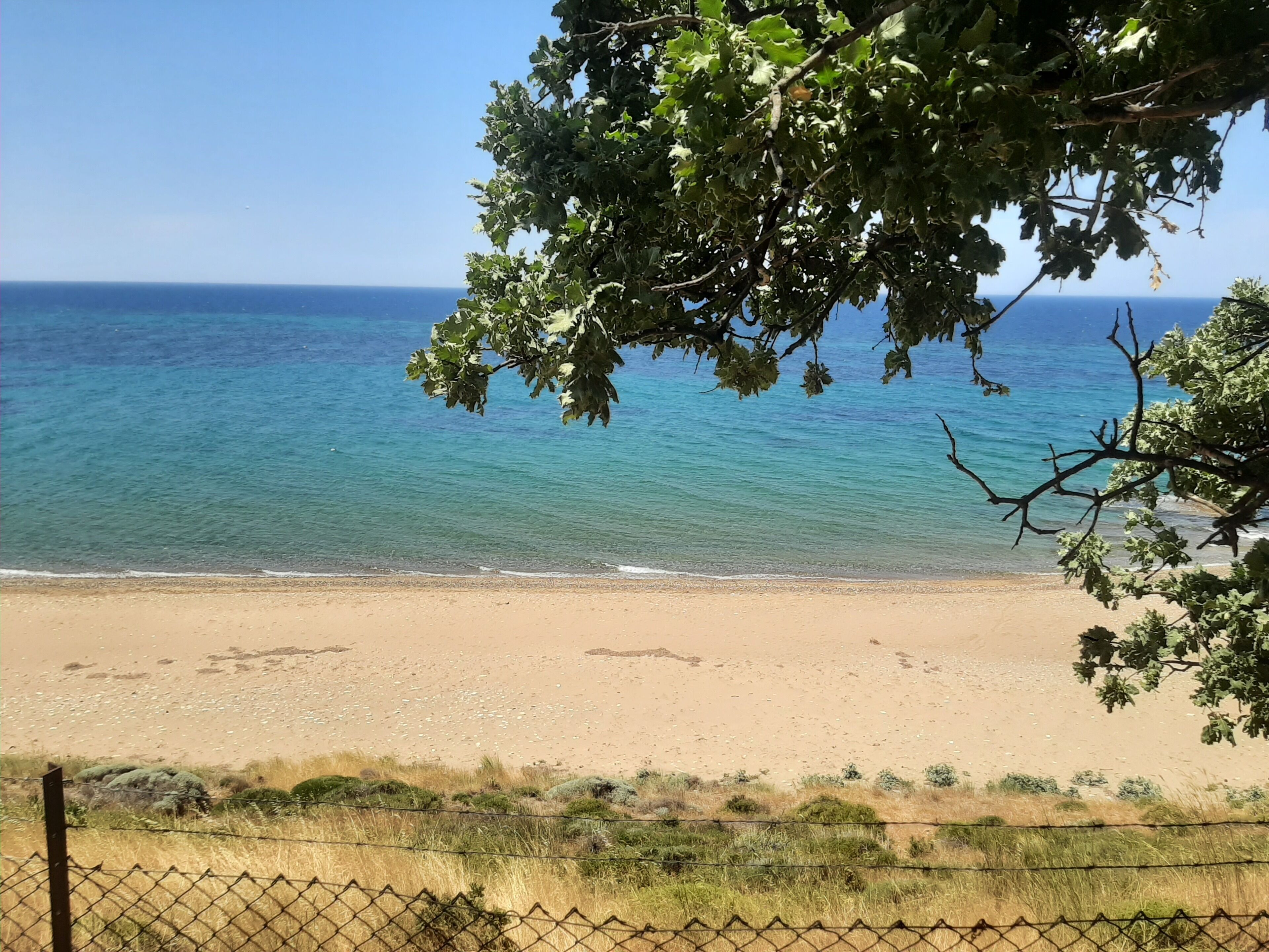 Ekom Cafe Pansiyon