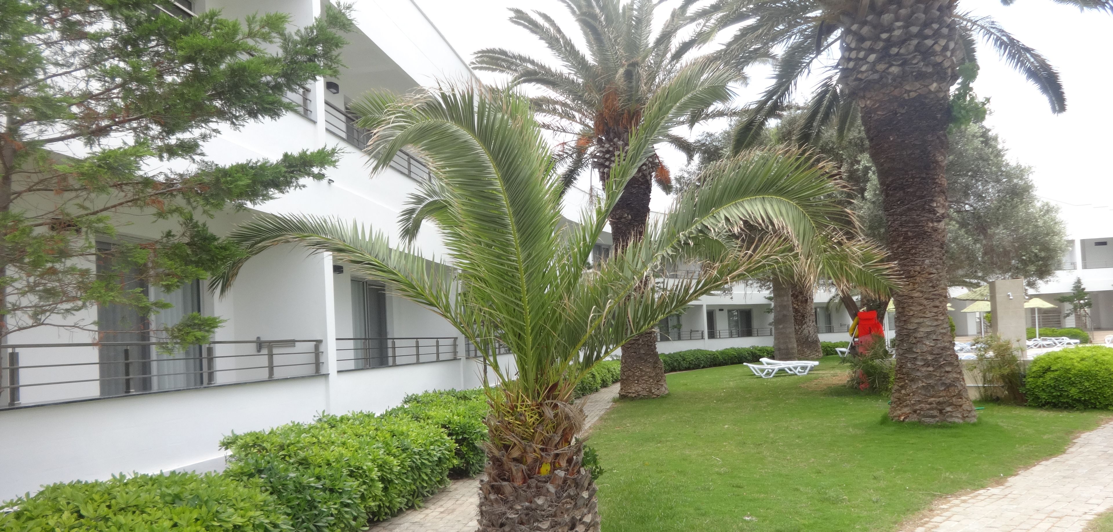 Altin Yunus Apart Beach Plus