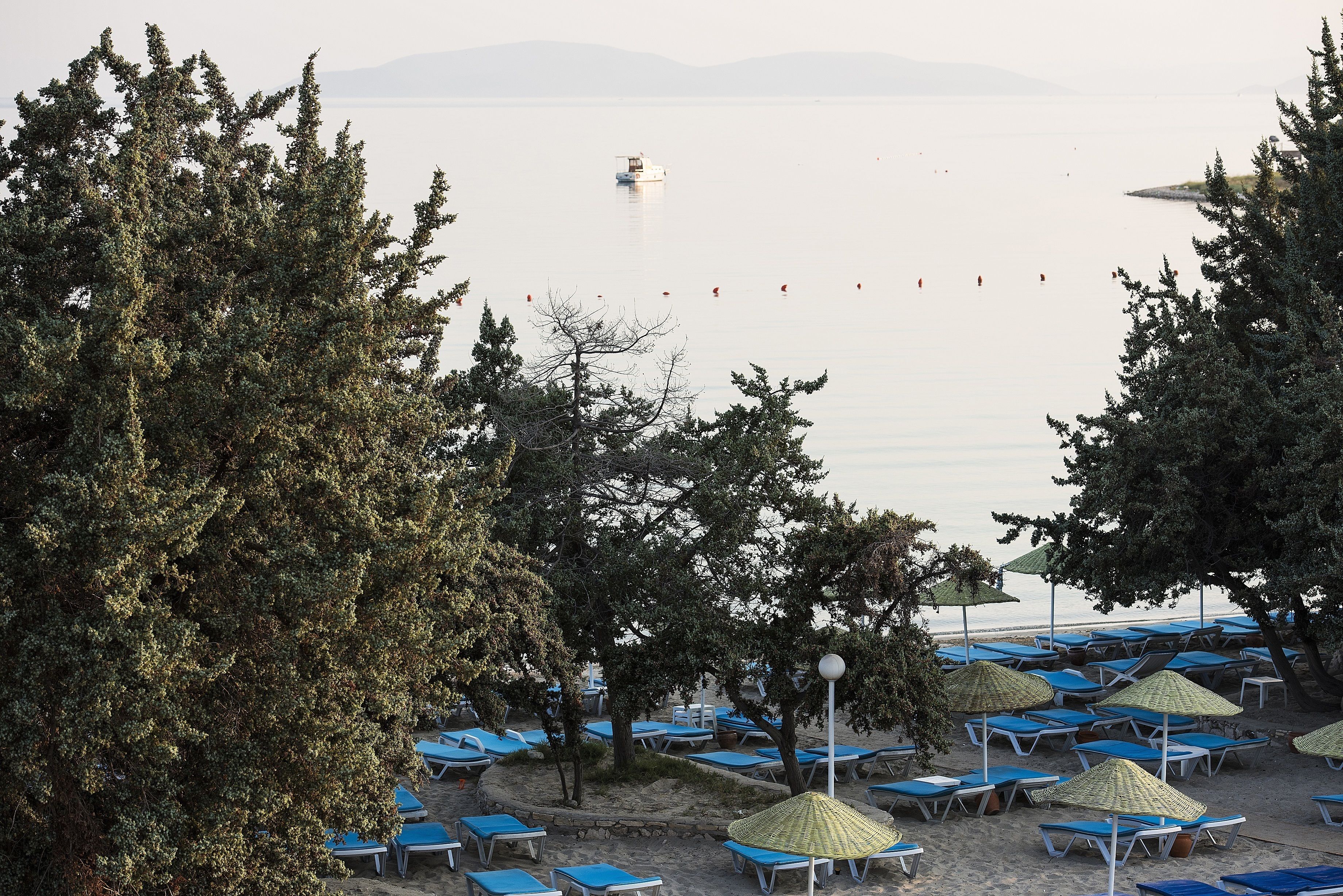 Altin Yunus Apart Beach Plus