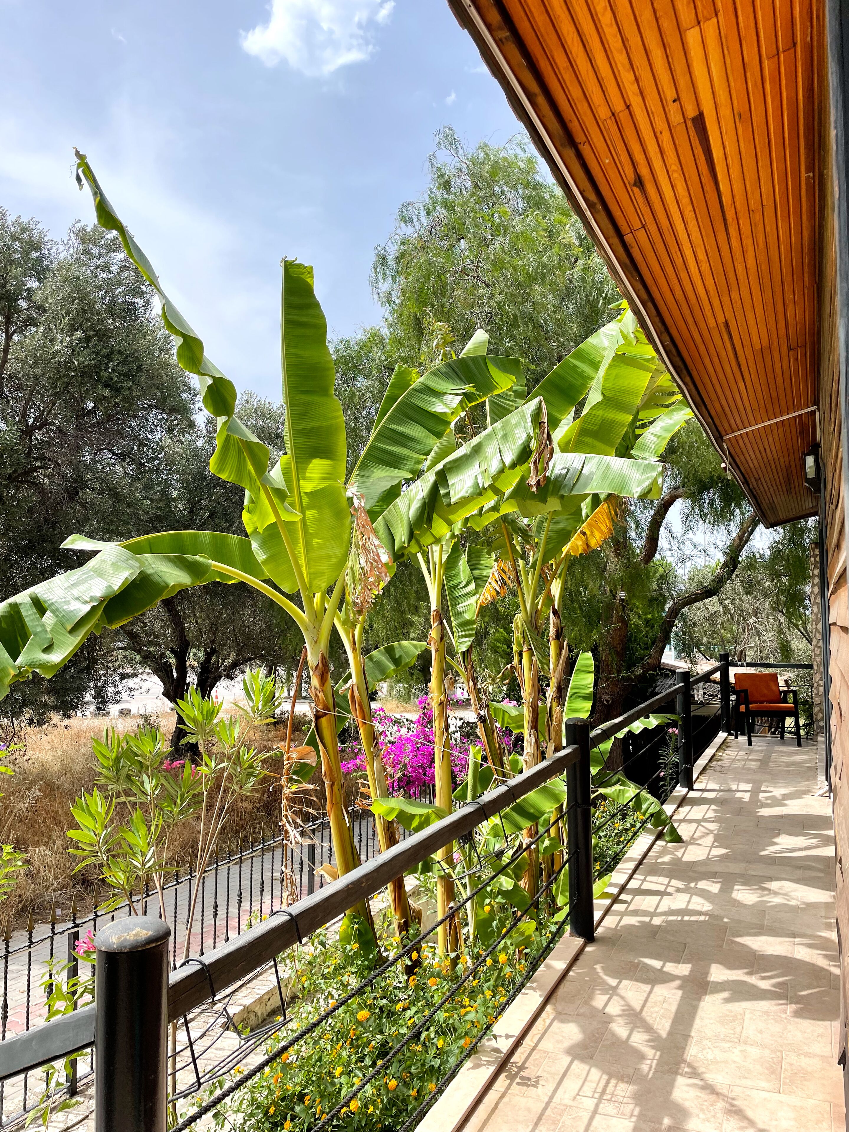 Ata Boutique Hotel