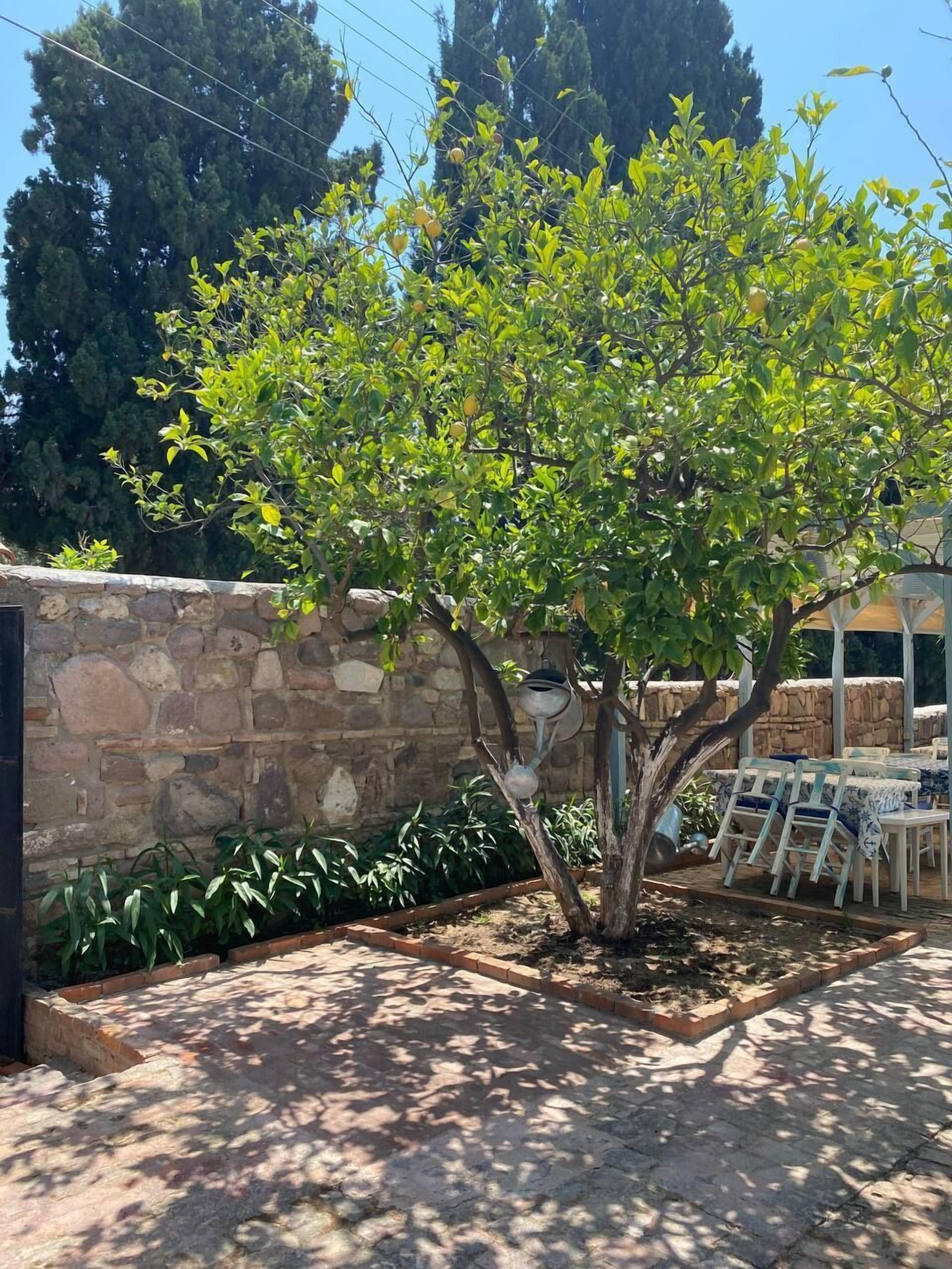 Litri Otel