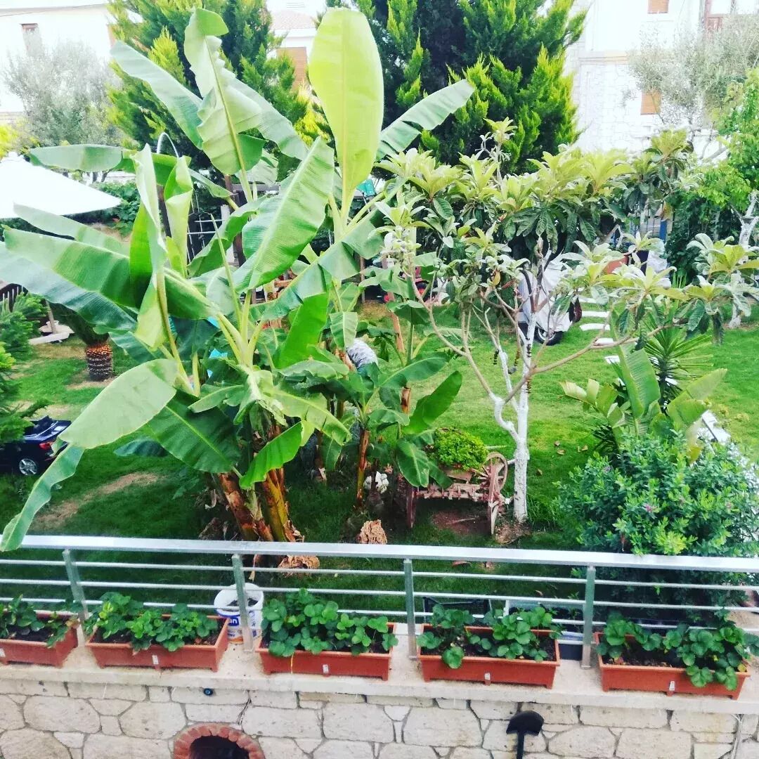 Luna Alacati Hotel