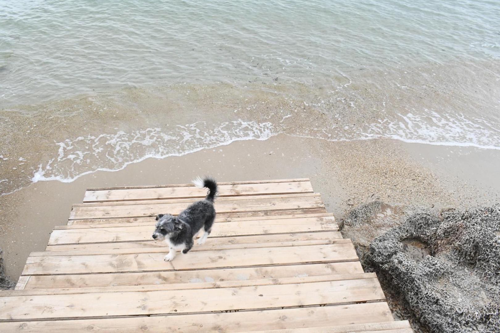 Zay'a Otel & Beach