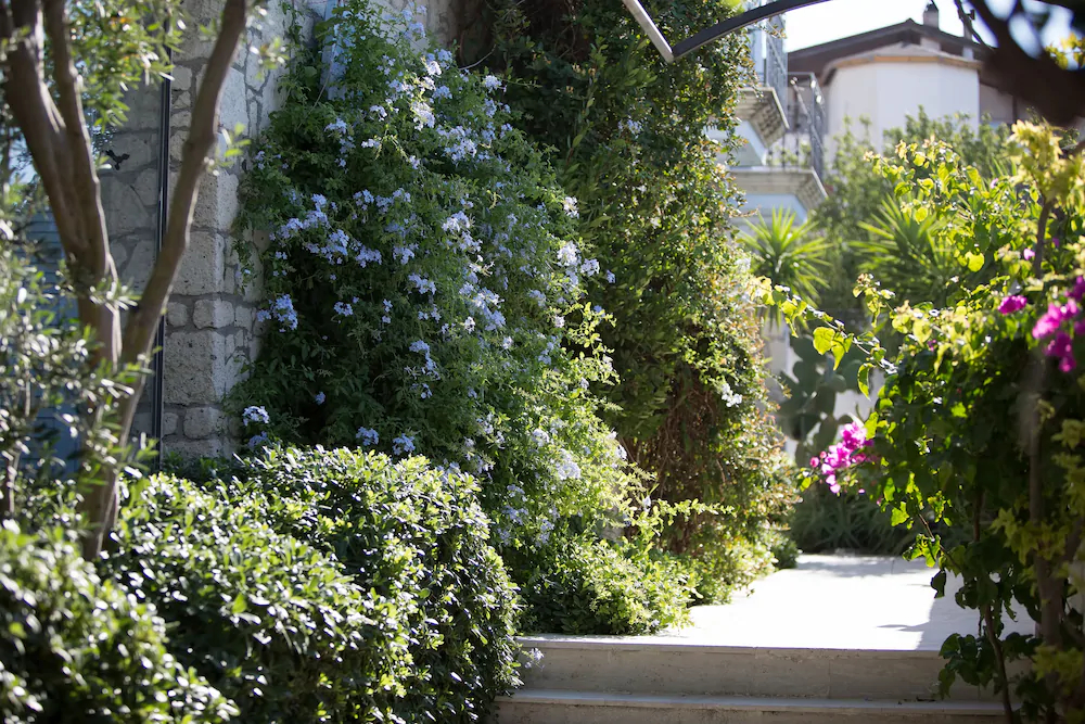 Molen Alaçati