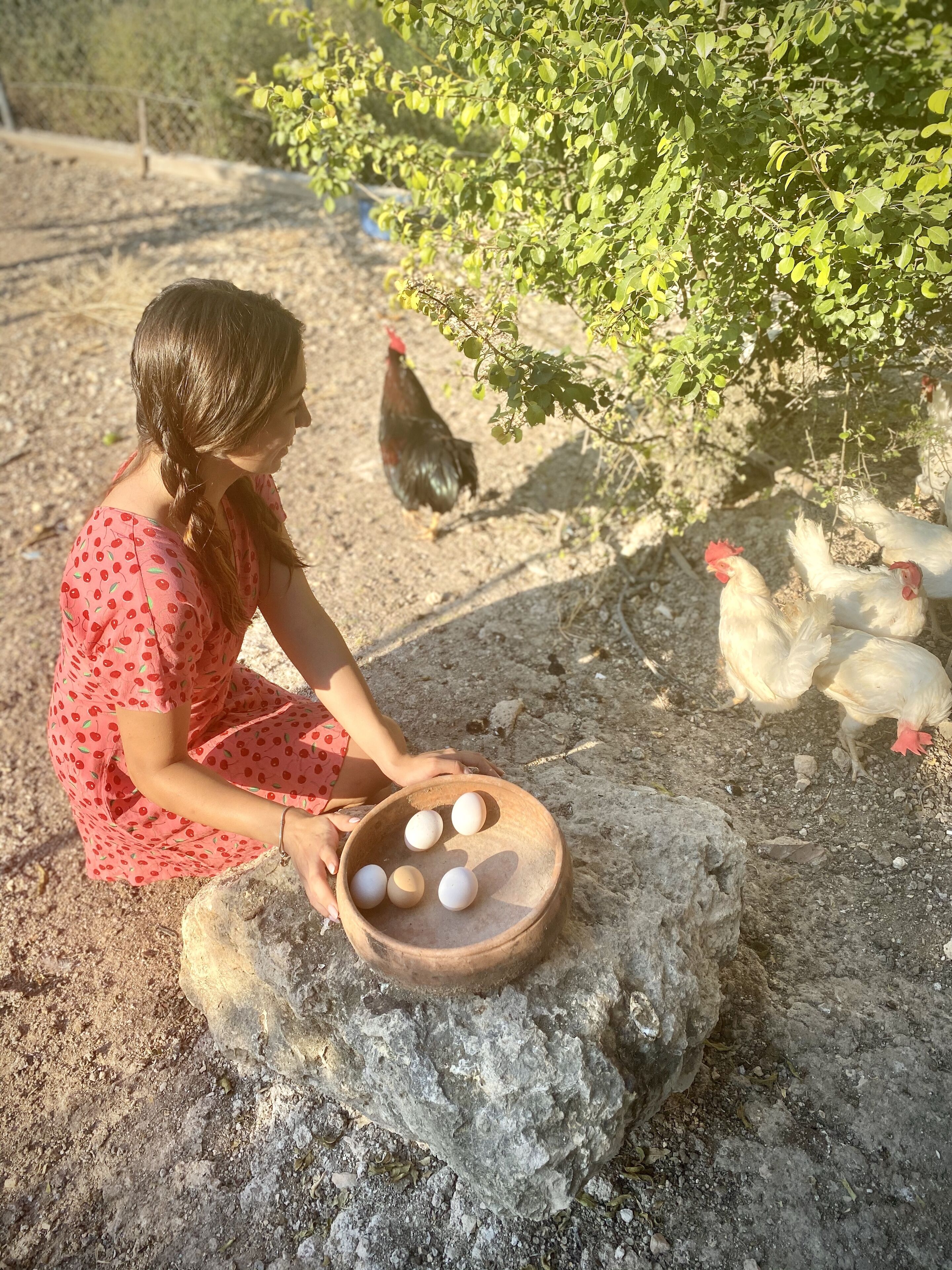 Alacati Barbarossa Hotel