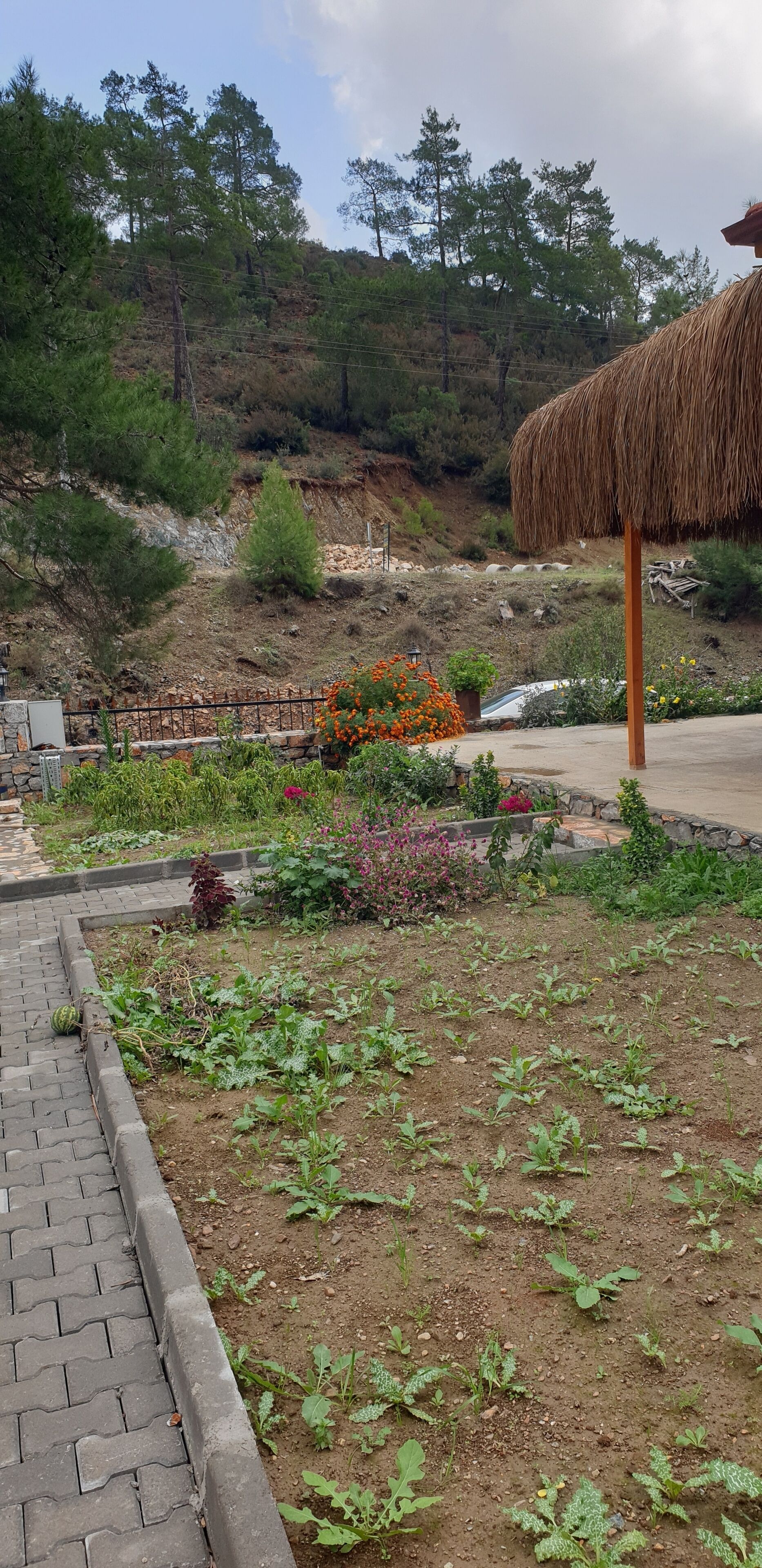 Kovan Bungalow