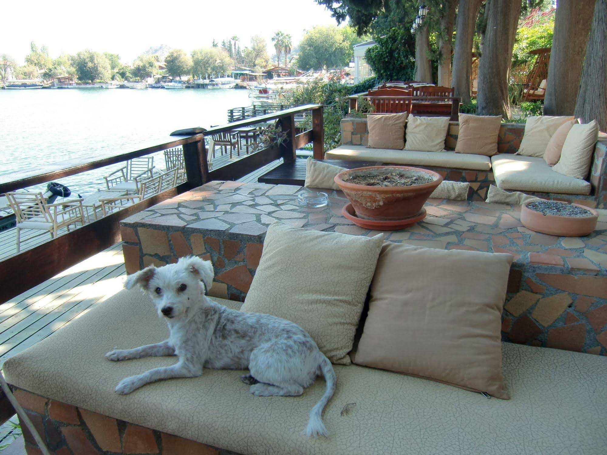 Hotel Happy Caretta