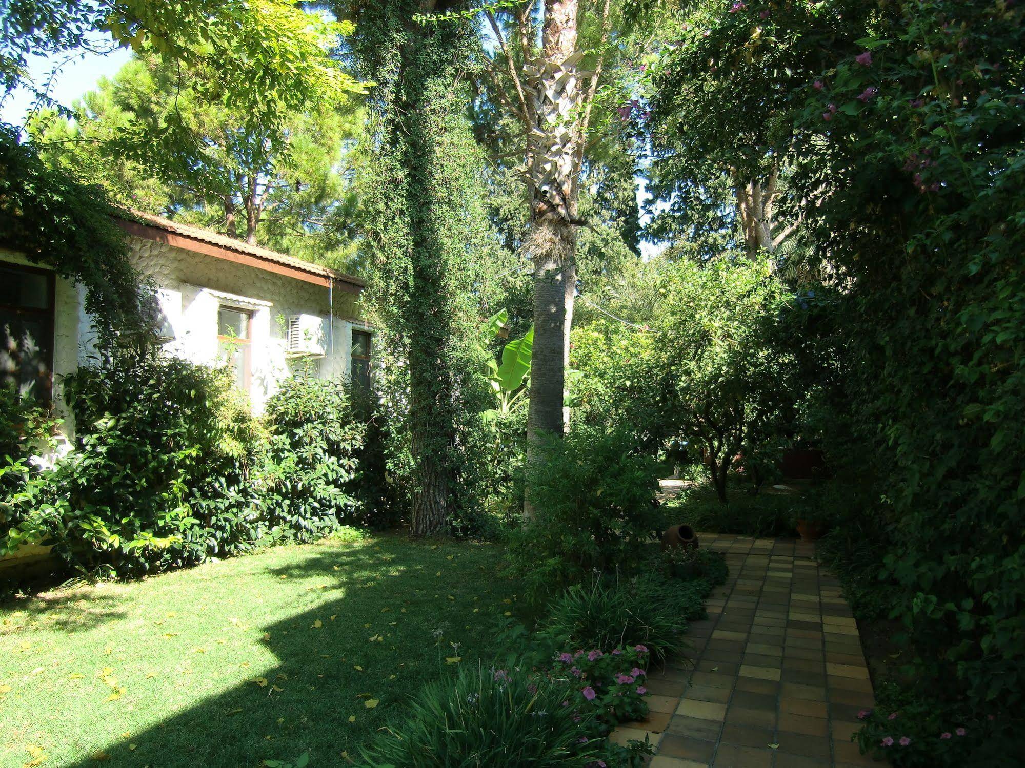 Hotel Happy Caretta