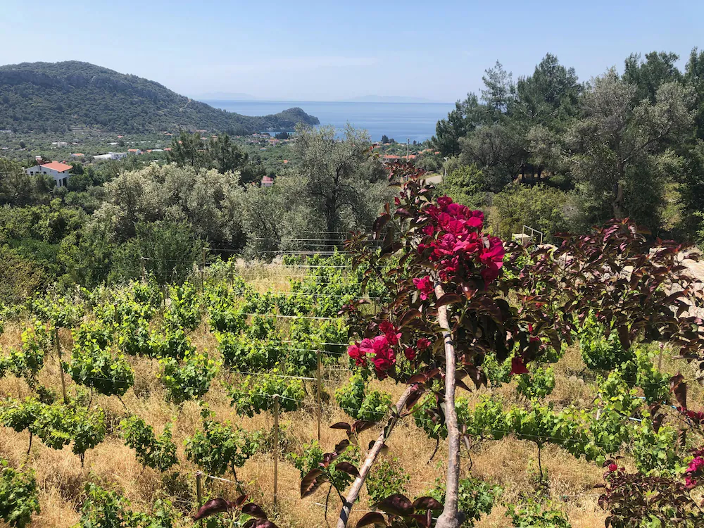 Villa MaVie