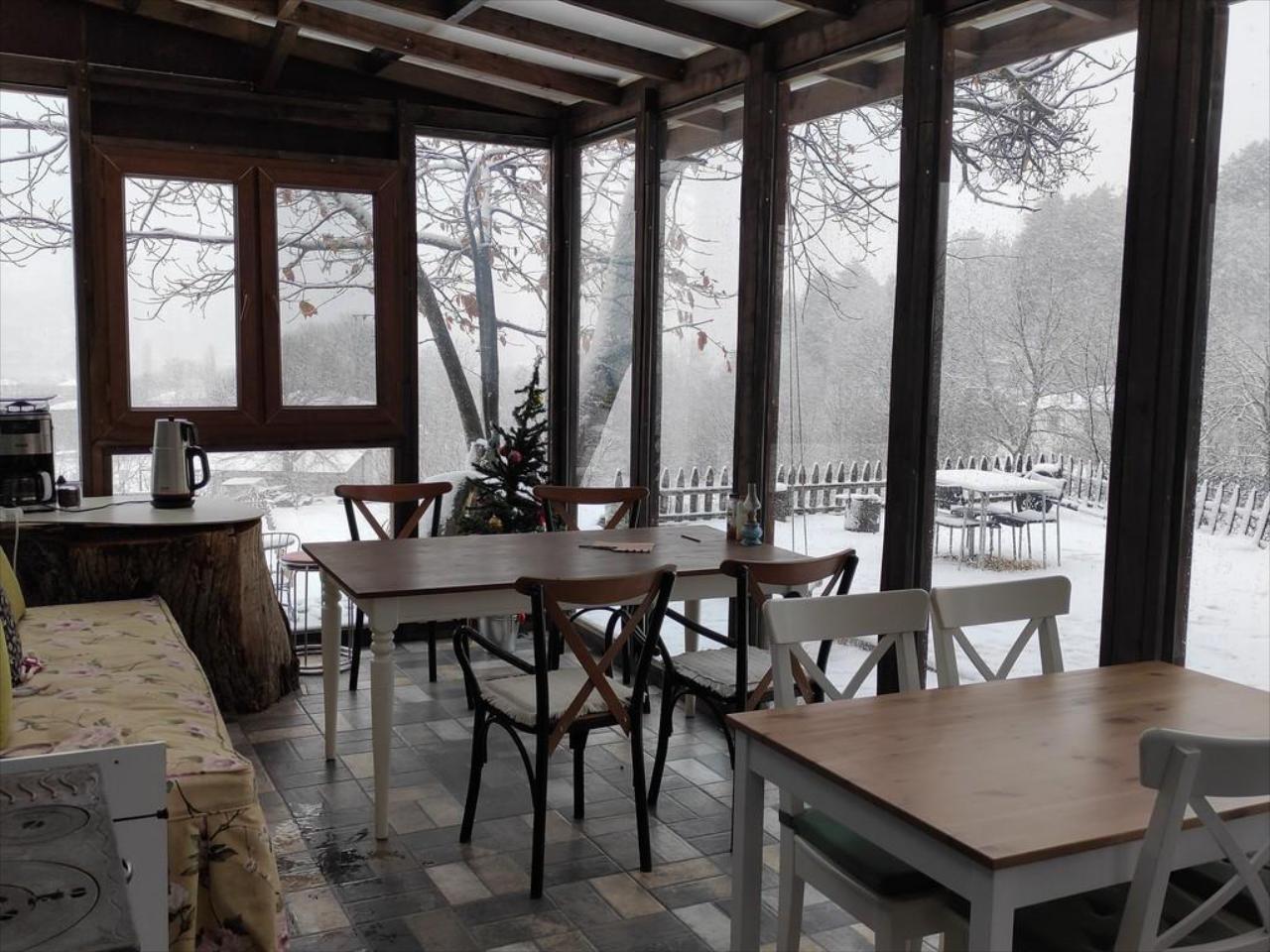 Torrhebia Dag Evi