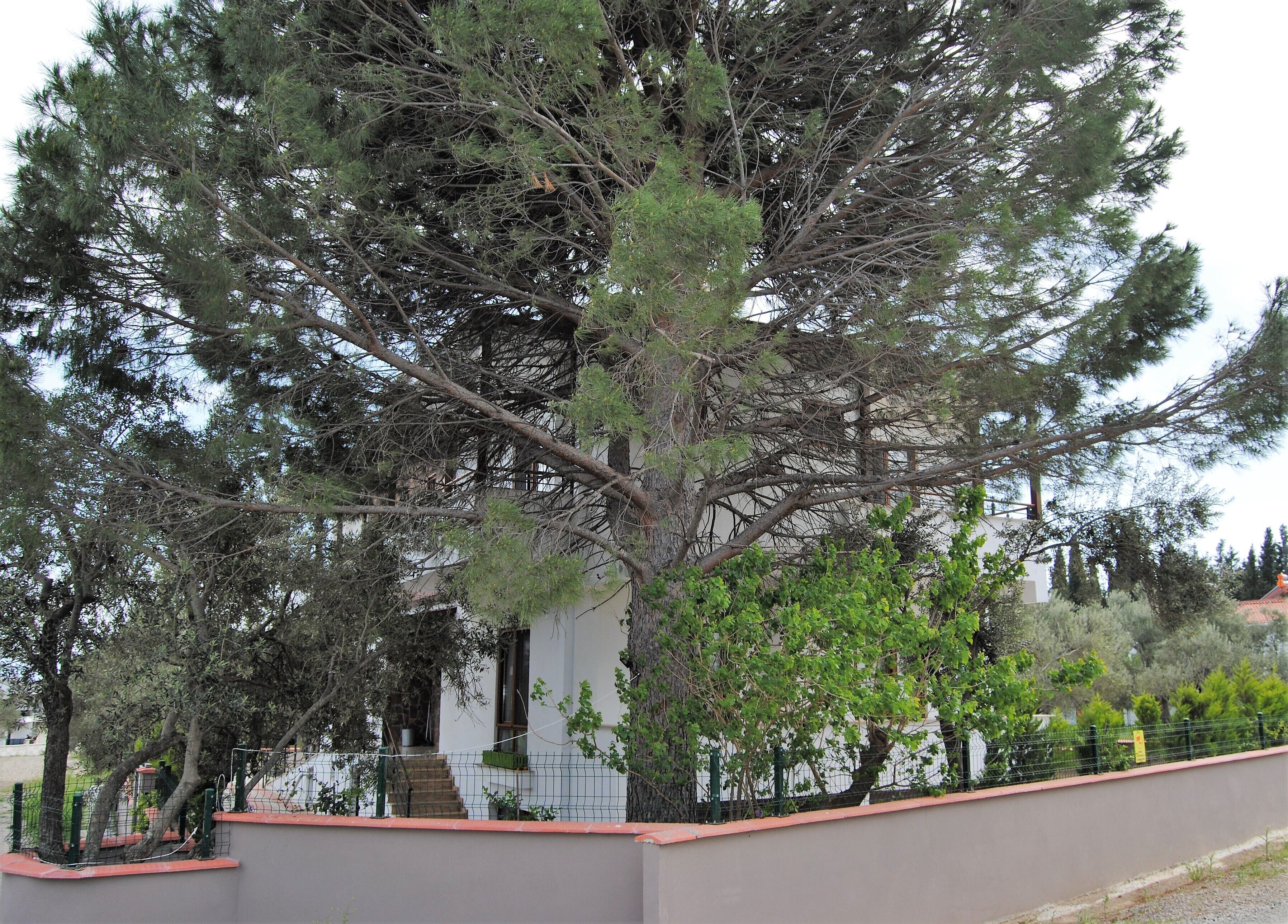 Beyaz Konak Gure
