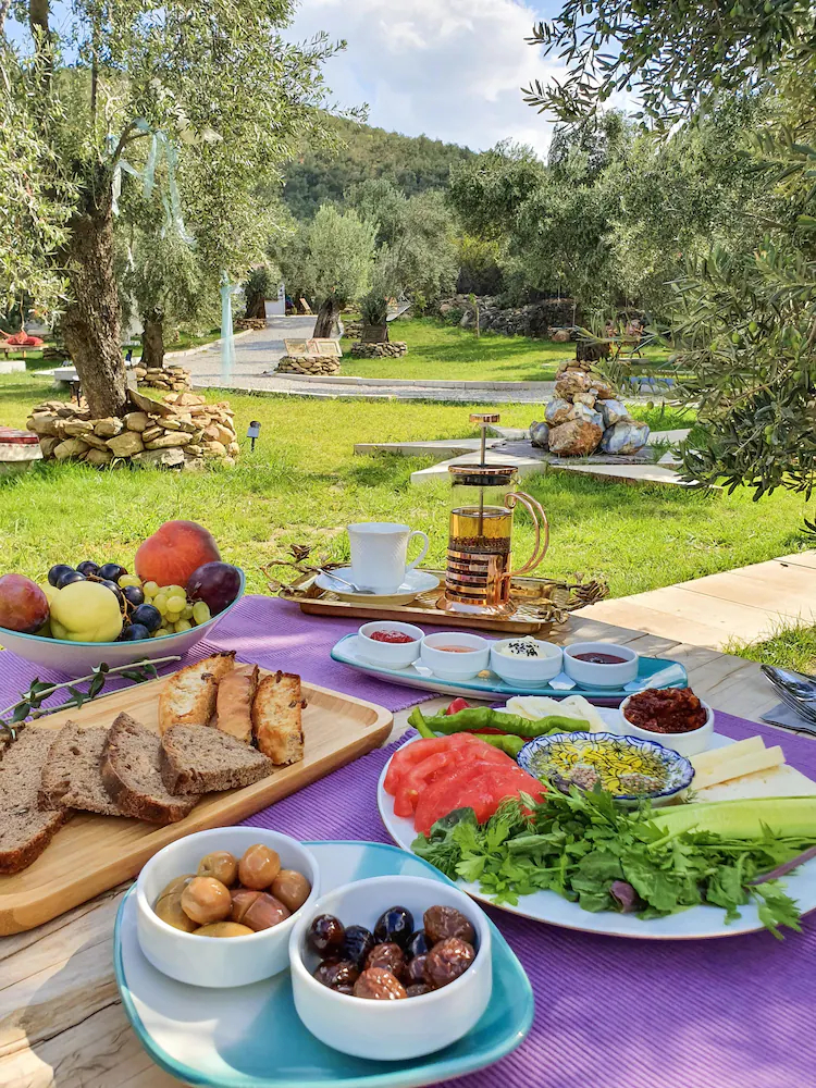 Yiva Kazdaglari