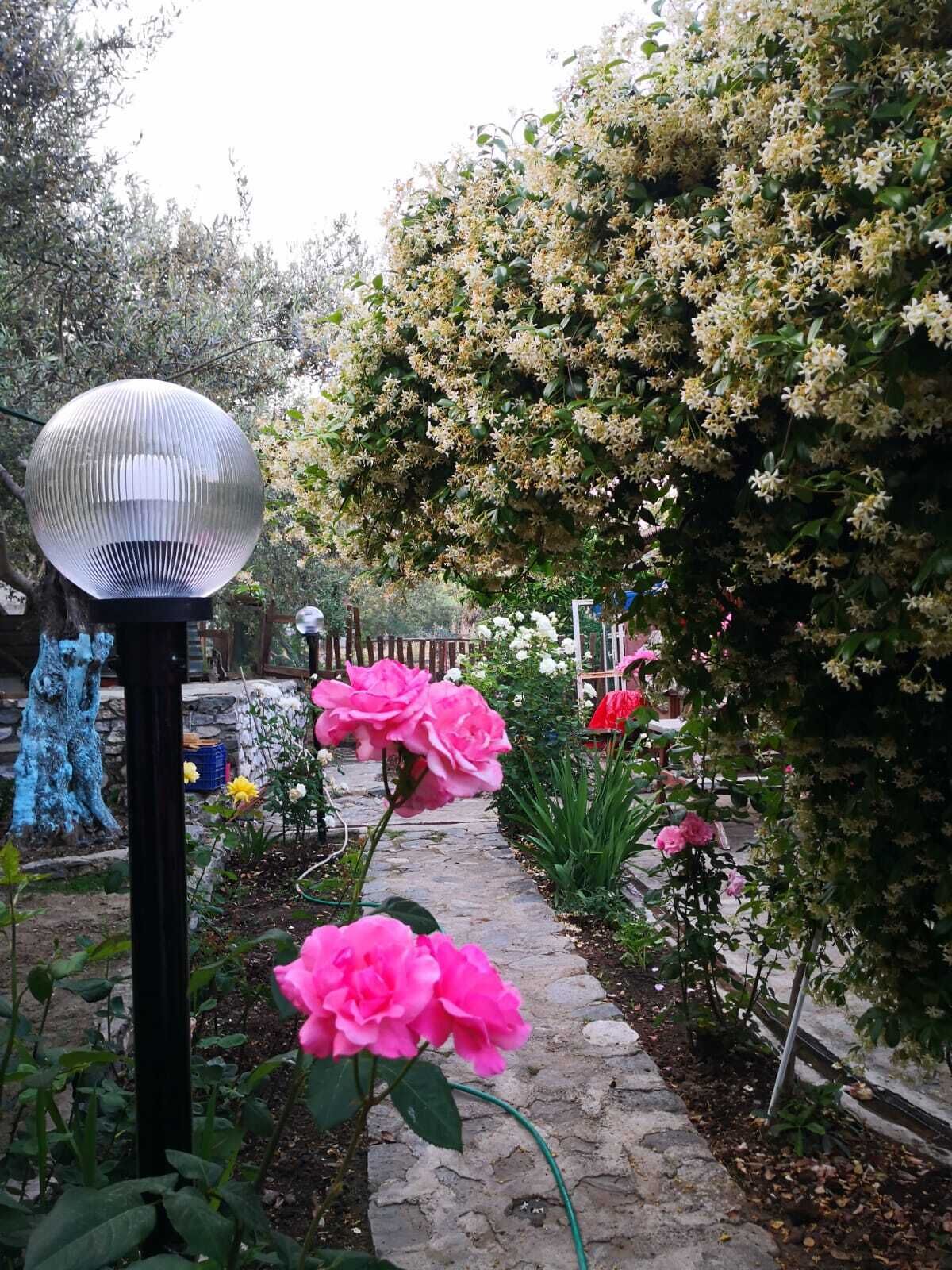 ZeytinDagi Bungalow Butik Otel