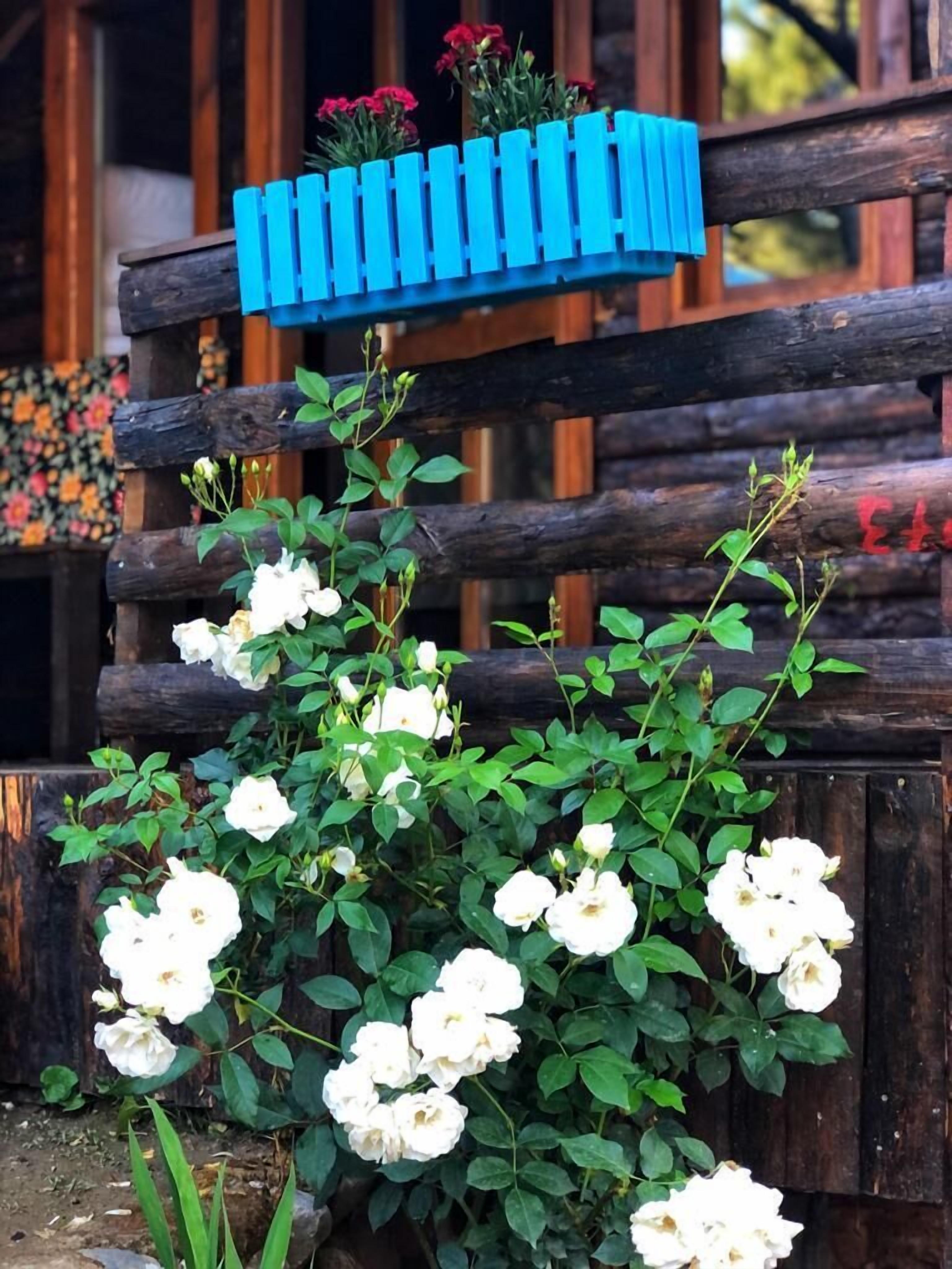 ZeytinDagi Bungalow Butik Otel