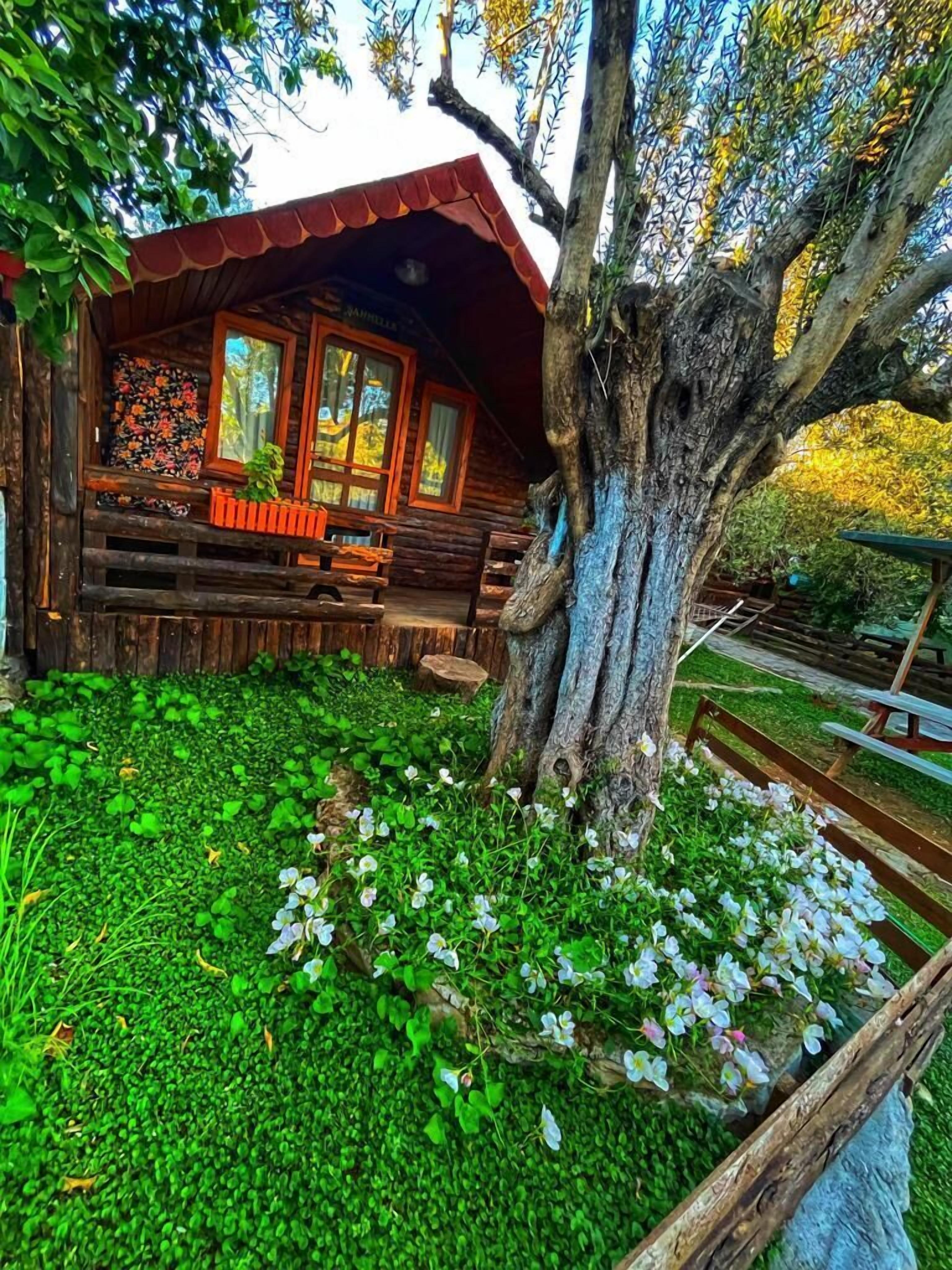 ZeytinDagi Bungalow Butik Otel