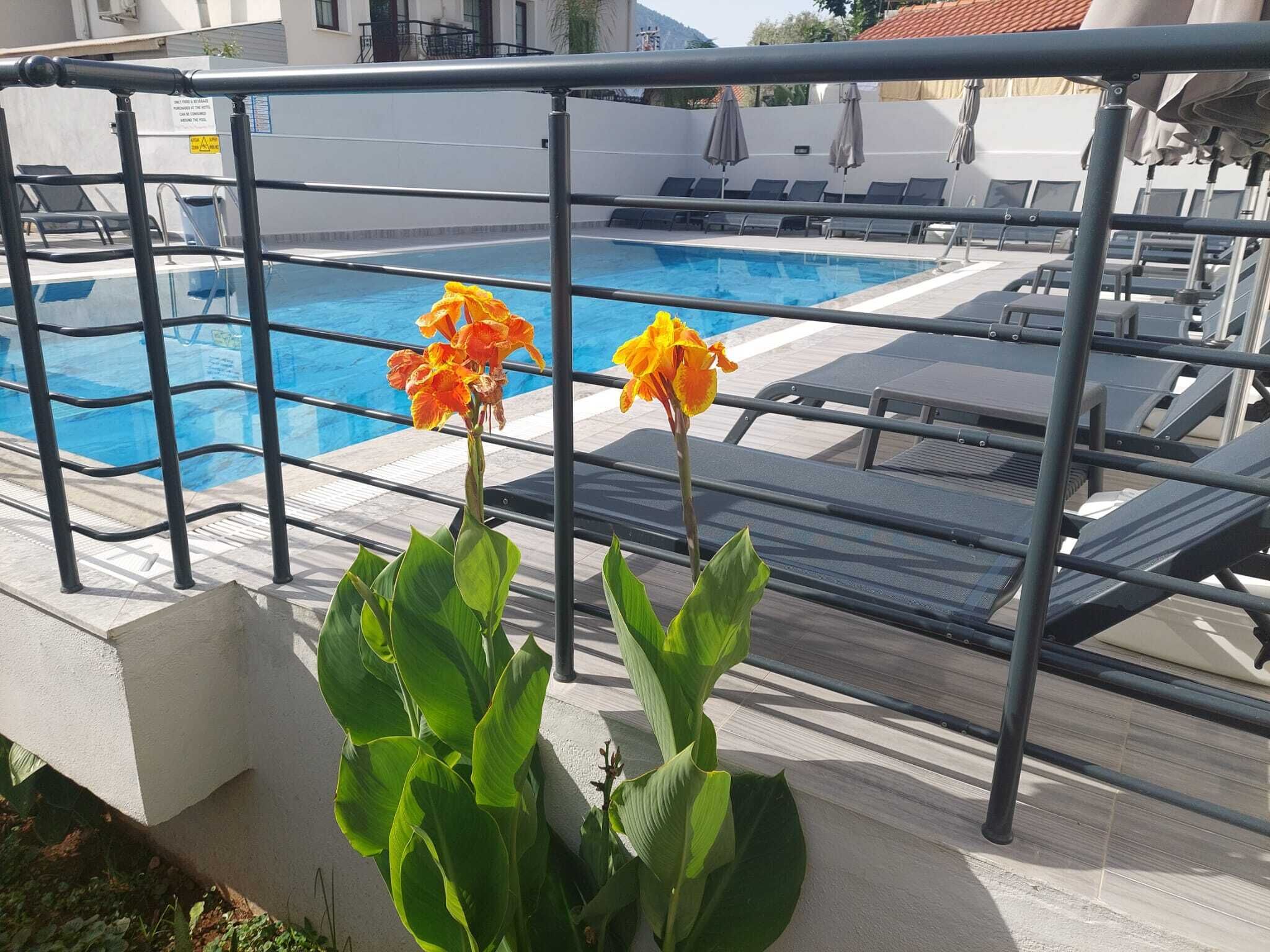 Celeste Hotel
