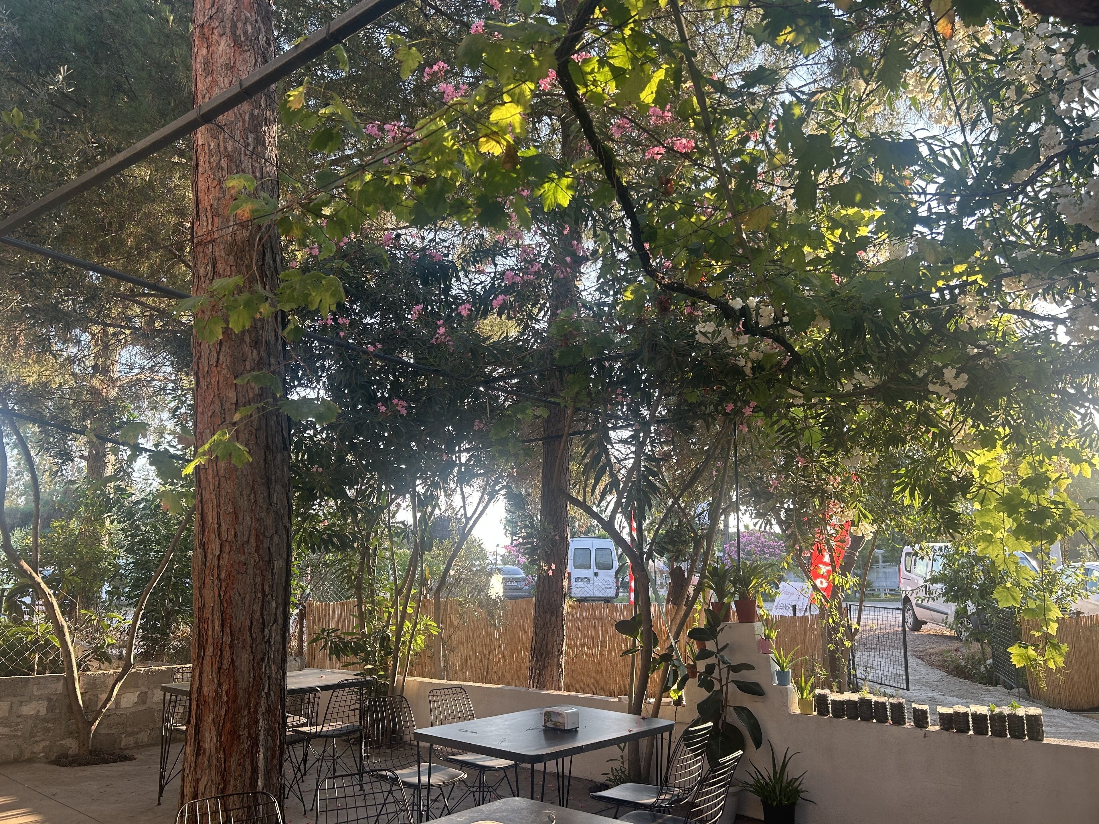 Petunya Pansiyon