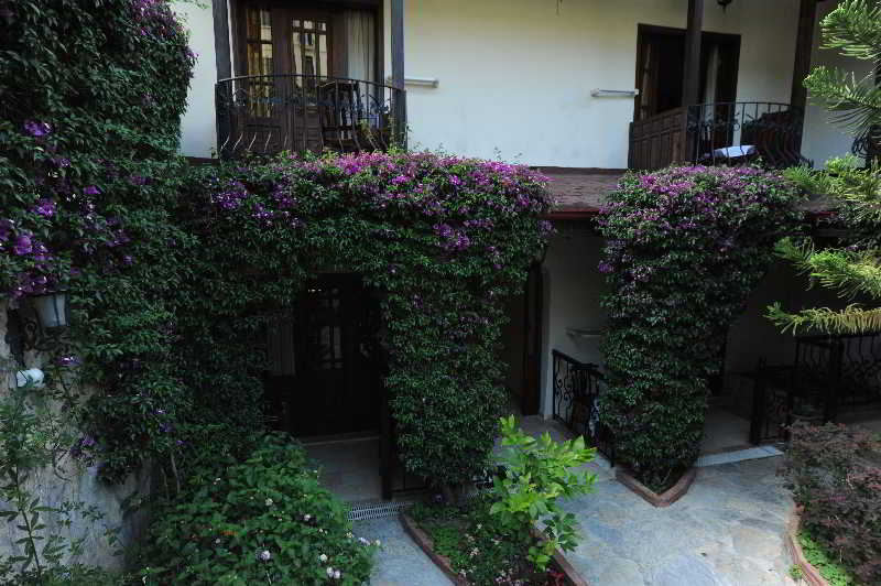 Villa Daffodil