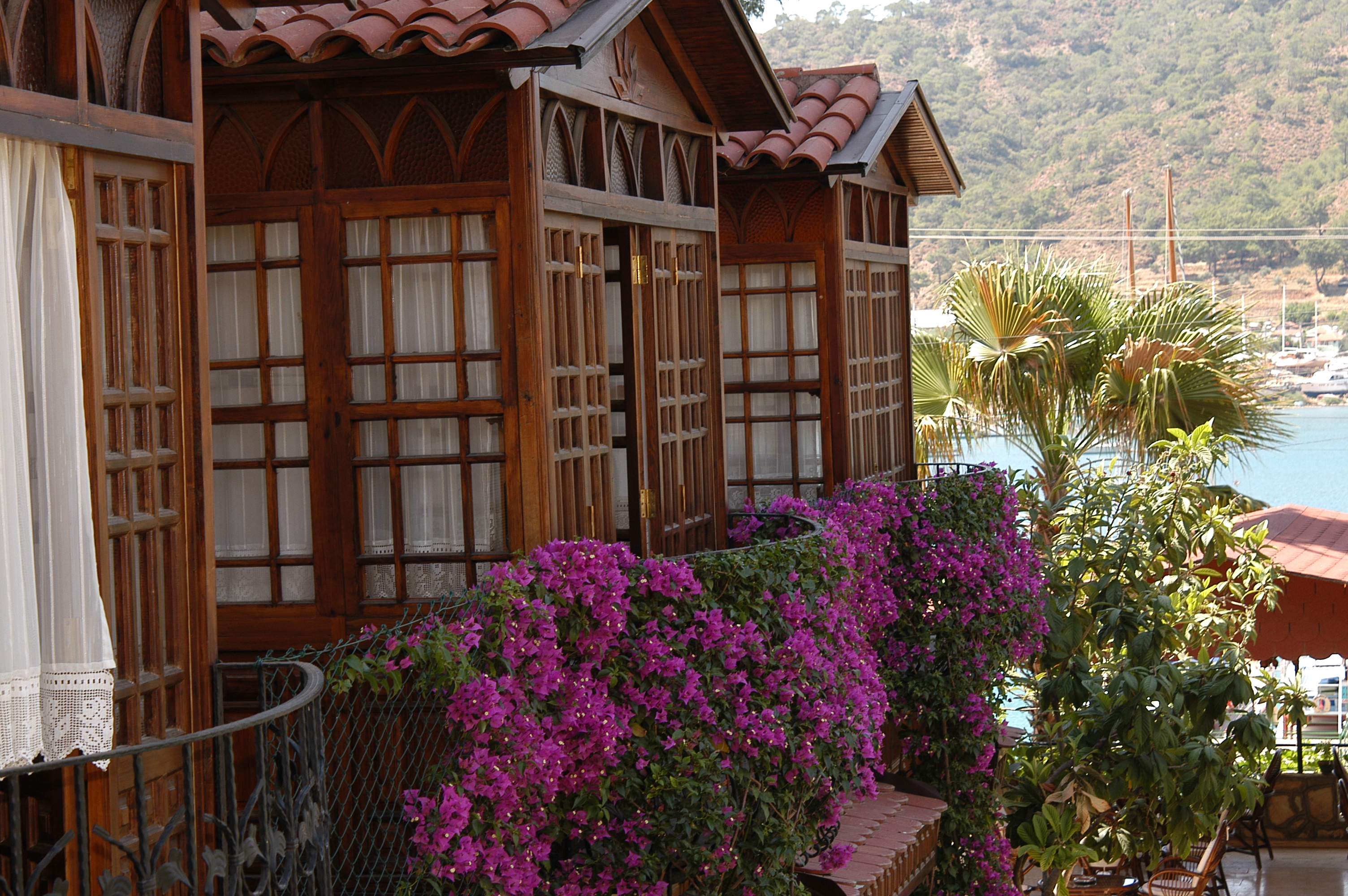 Villa Daffodil