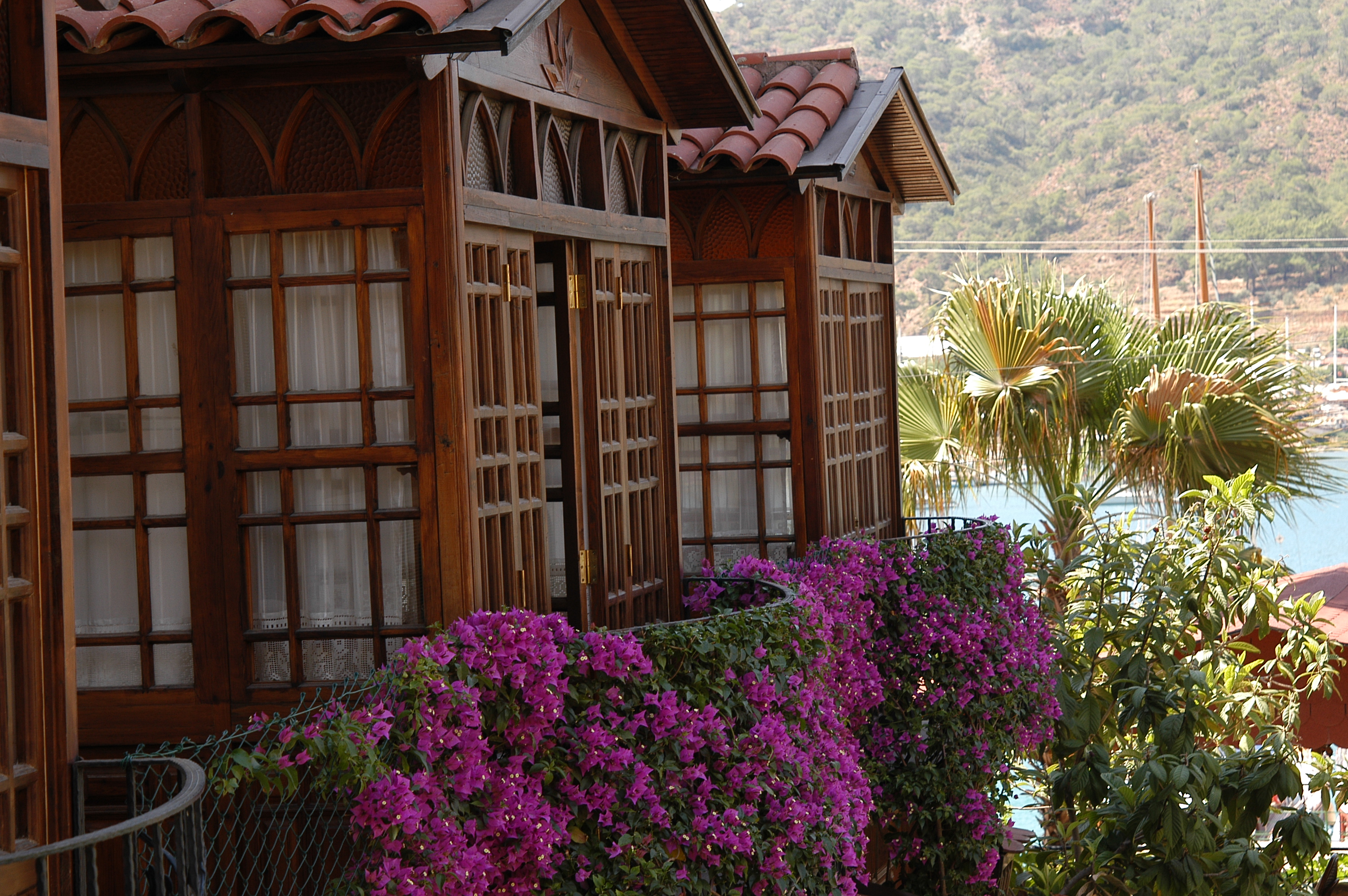 Villa Daffodil