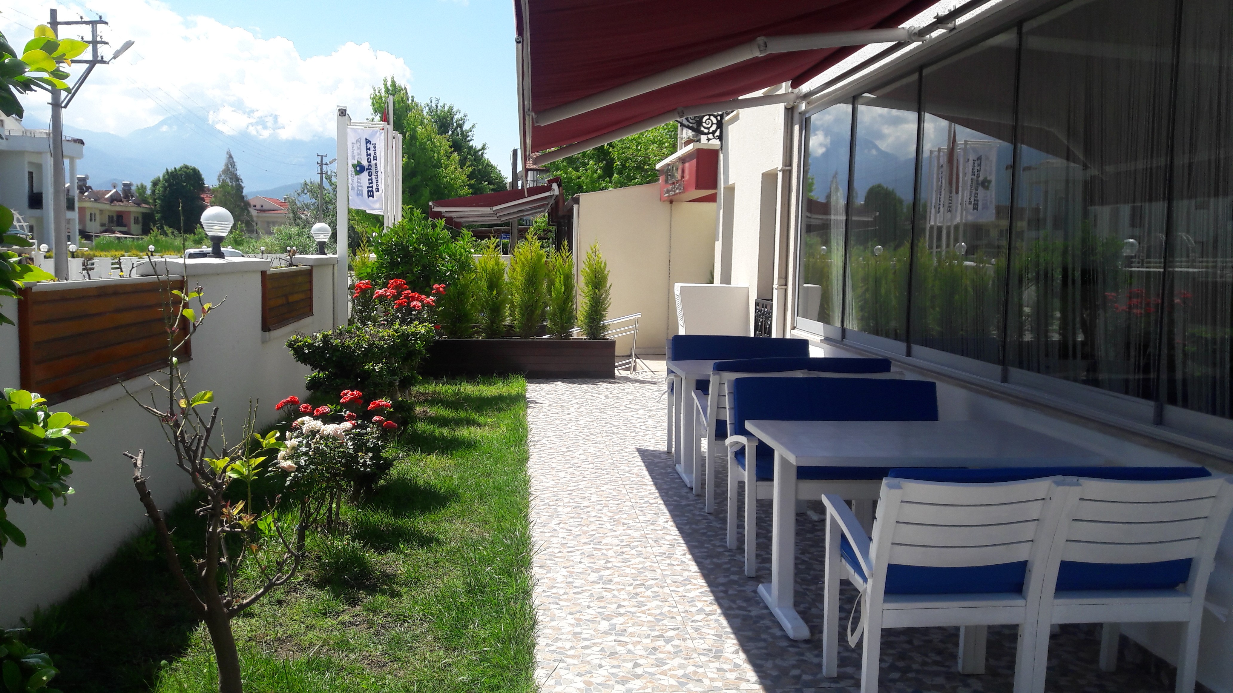 Blueberry Boutique Hotel