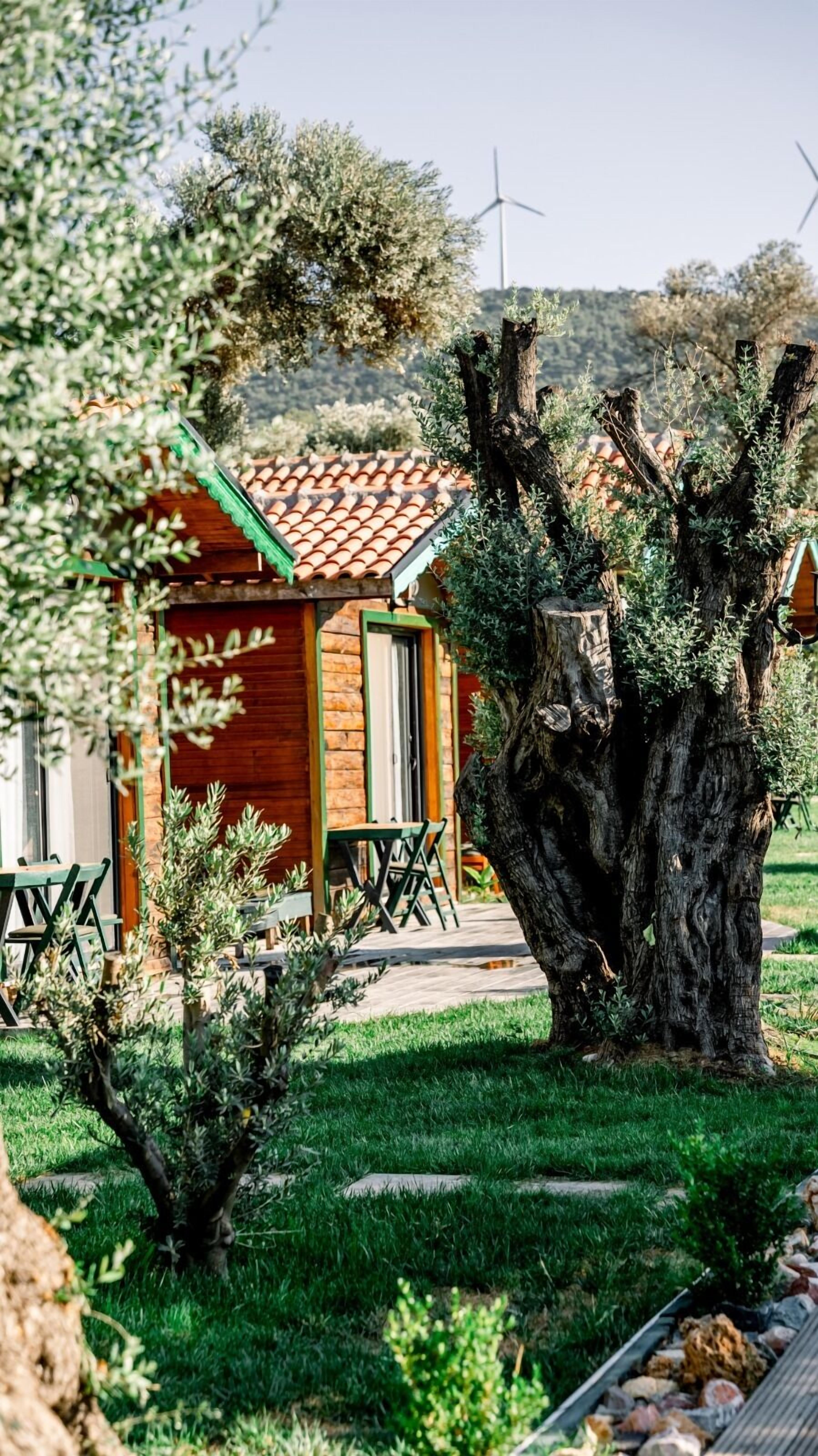 Serender Bungalov