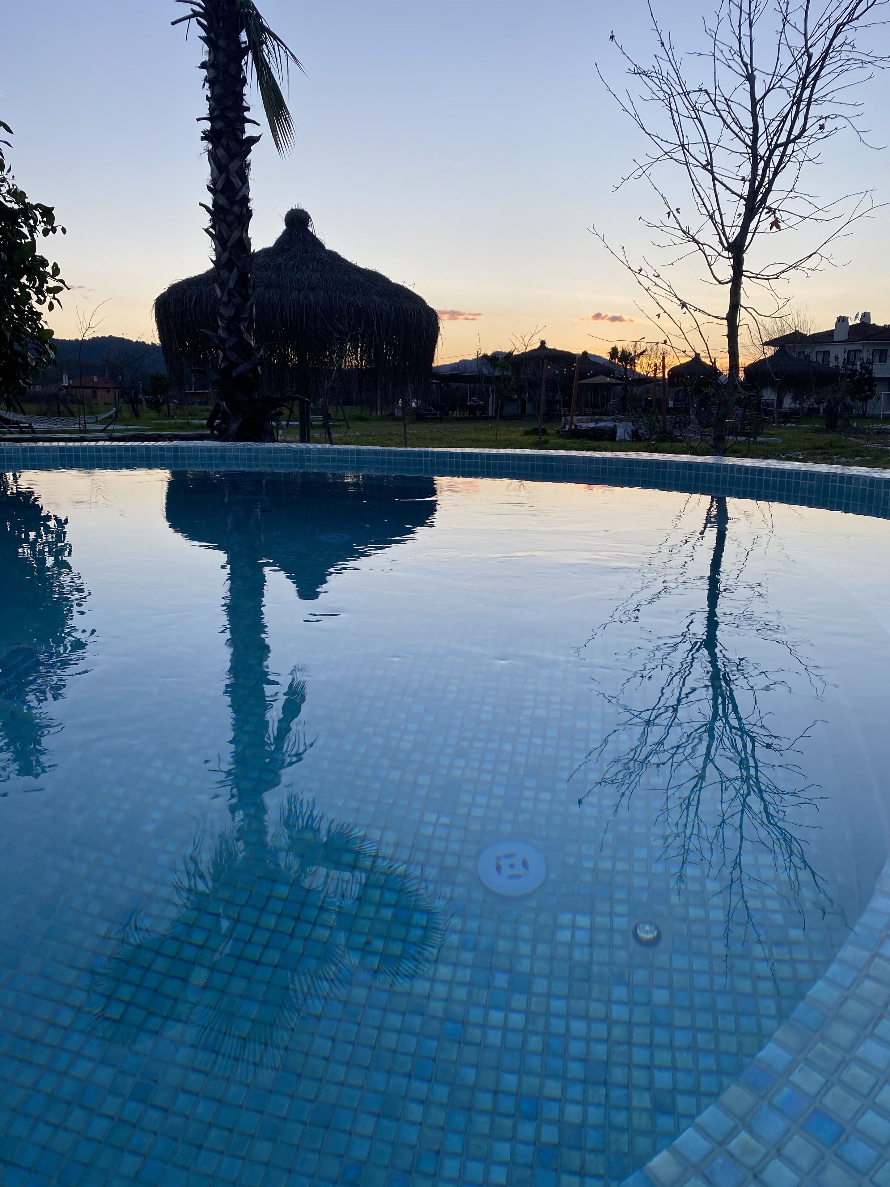 Albizia Boutique Hotel