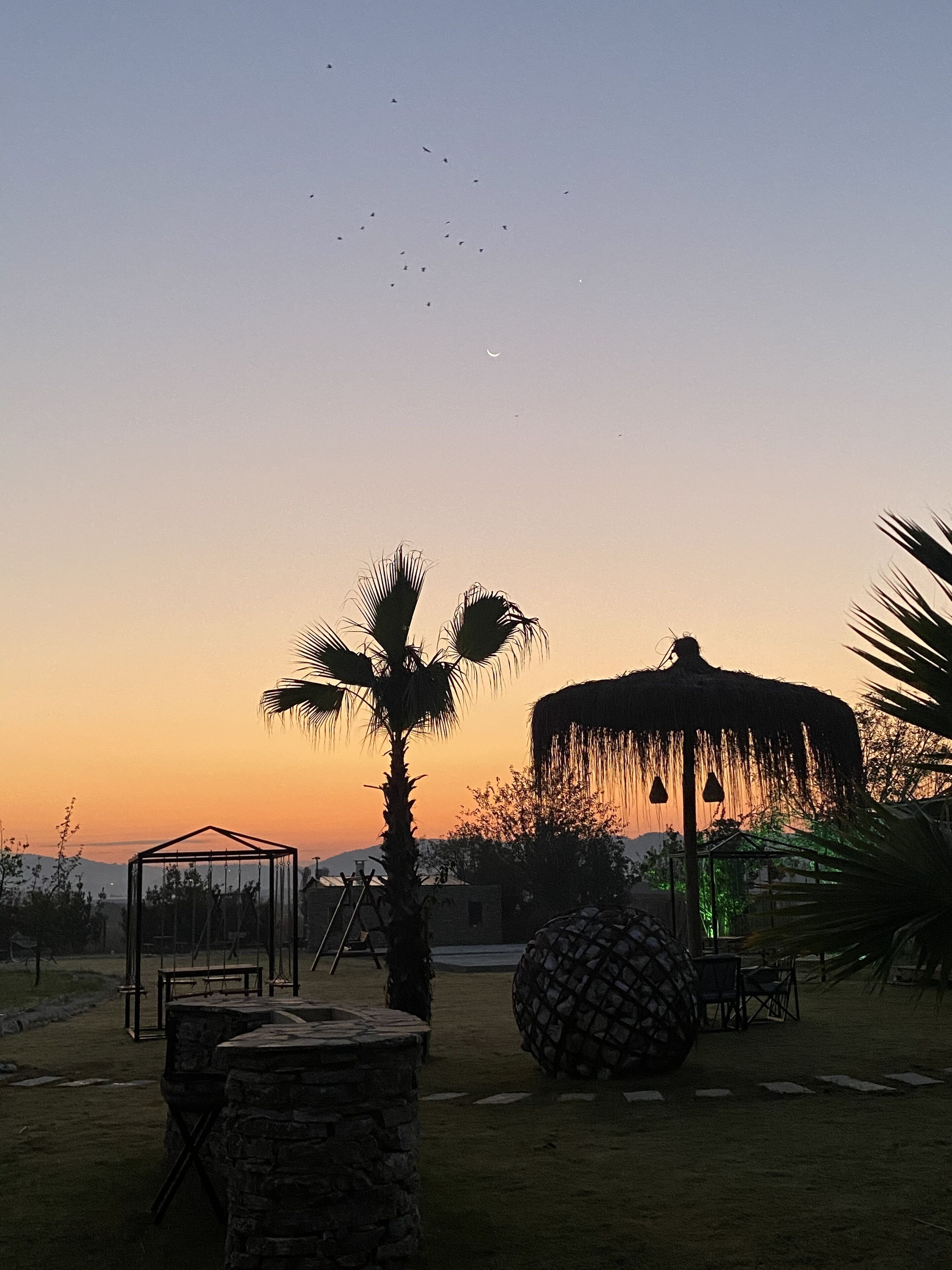 Albizia Boutique Hotel