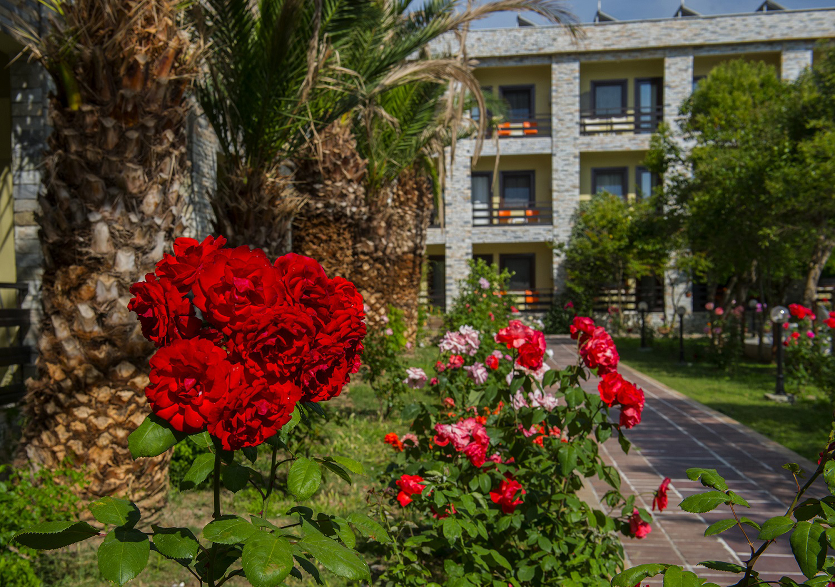 Iris Hotel & Spa