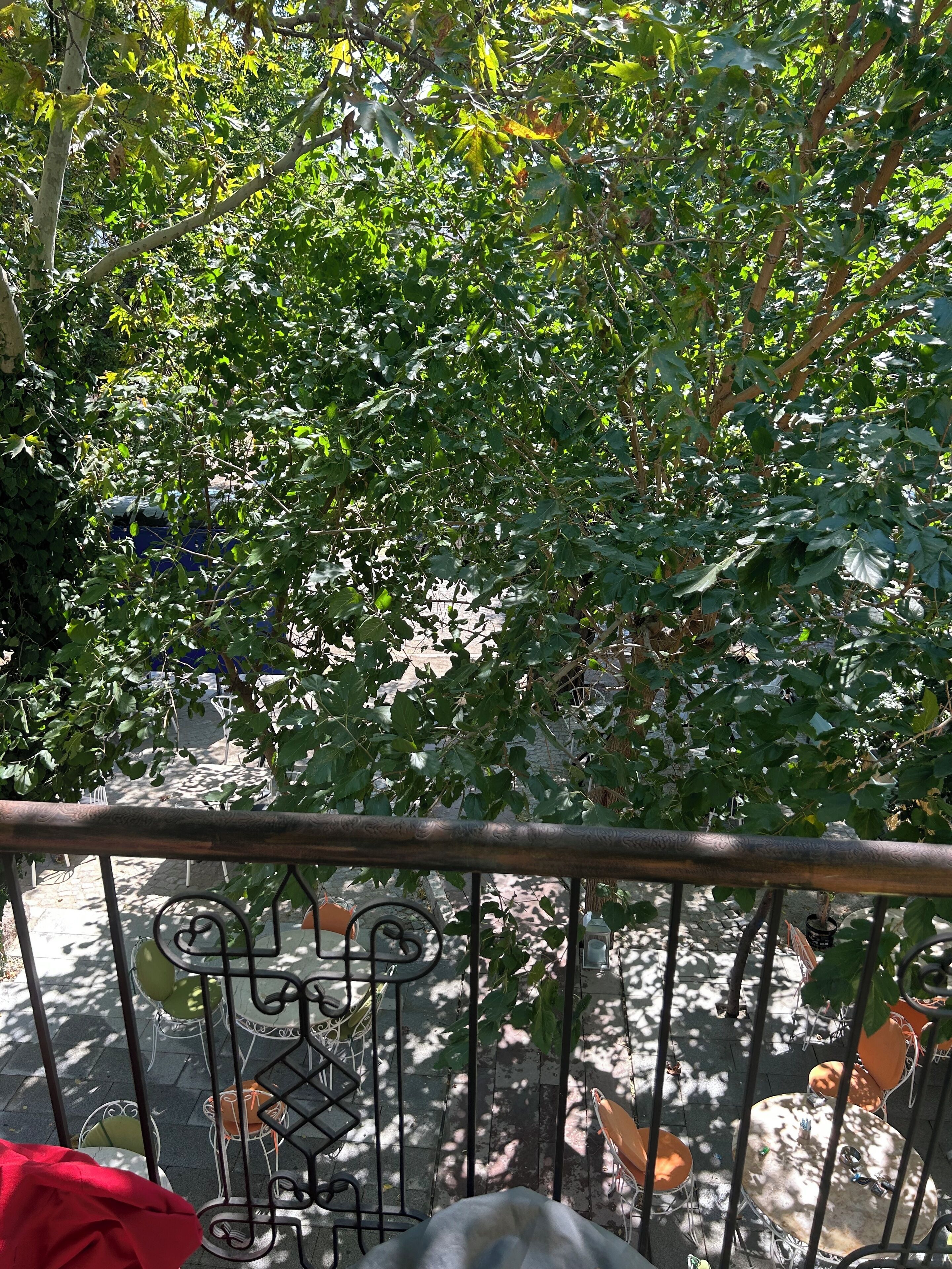 Asclepius Boutique Hotel & Cafe