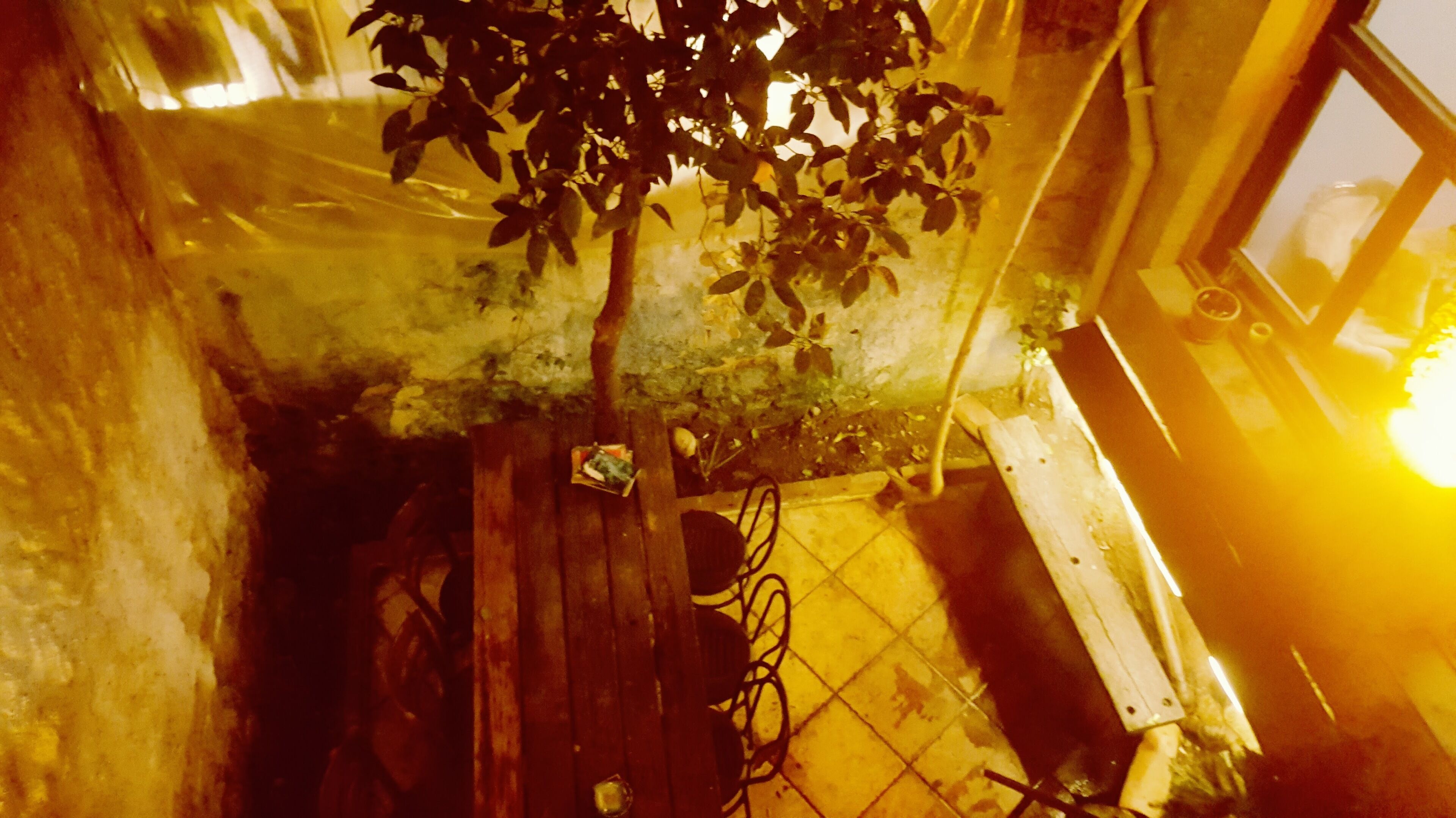 Titan House Hostel
